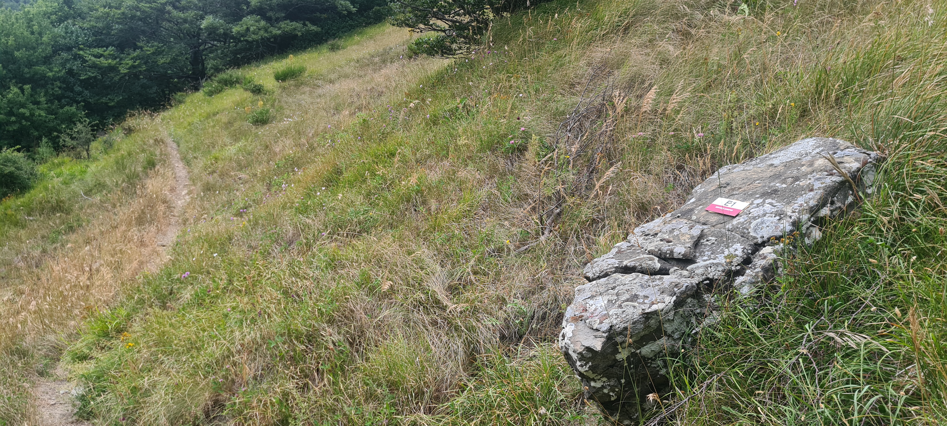 Alpe della Luna Sentiero 00 - immagine 7c