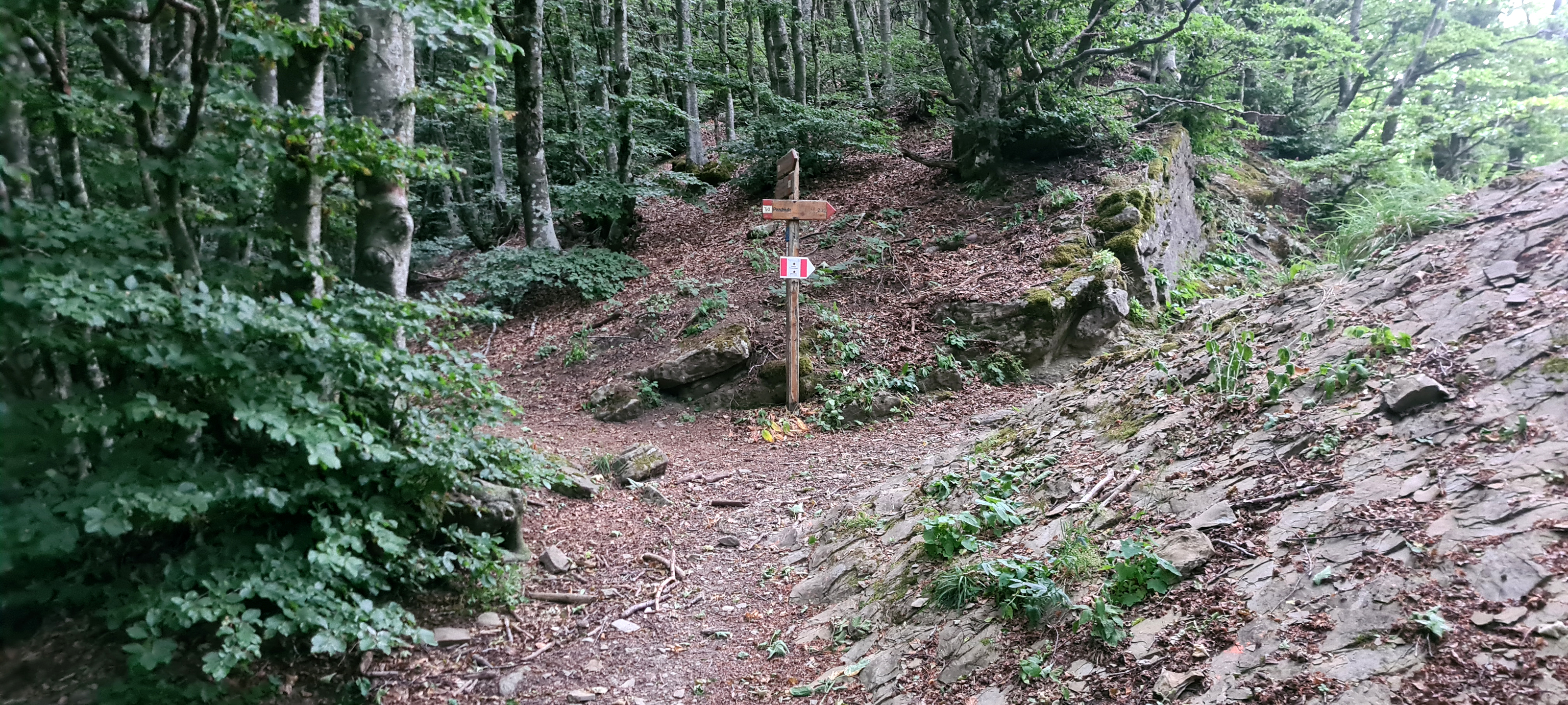 Alpe della Luna Sentiero 00 - immagine 8