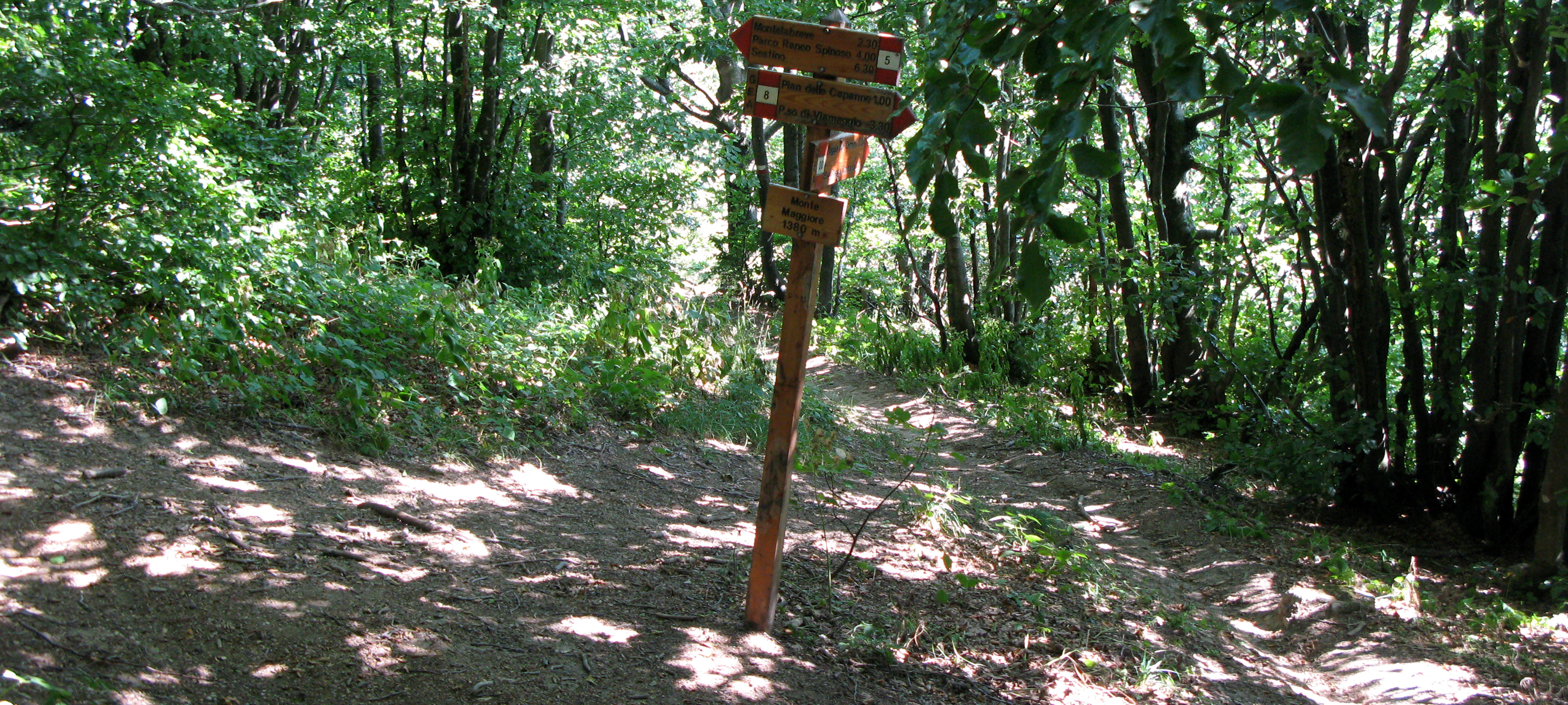 Alpe della Luna Sentiero 00 - immagine 9 (Monte Maggiore)