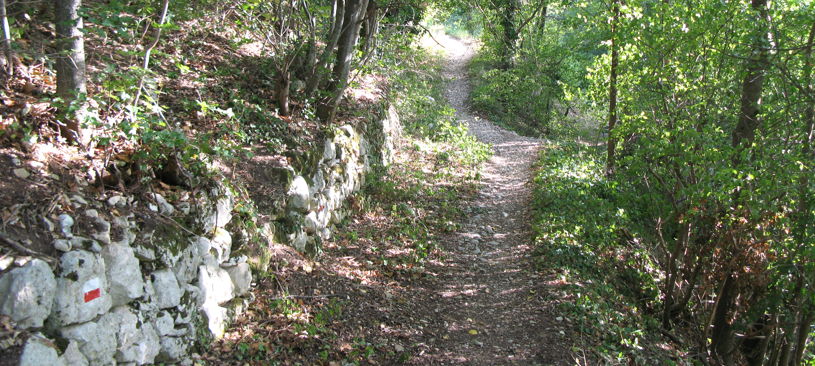 Monte Nerone Sentiero 1 - immagine 3