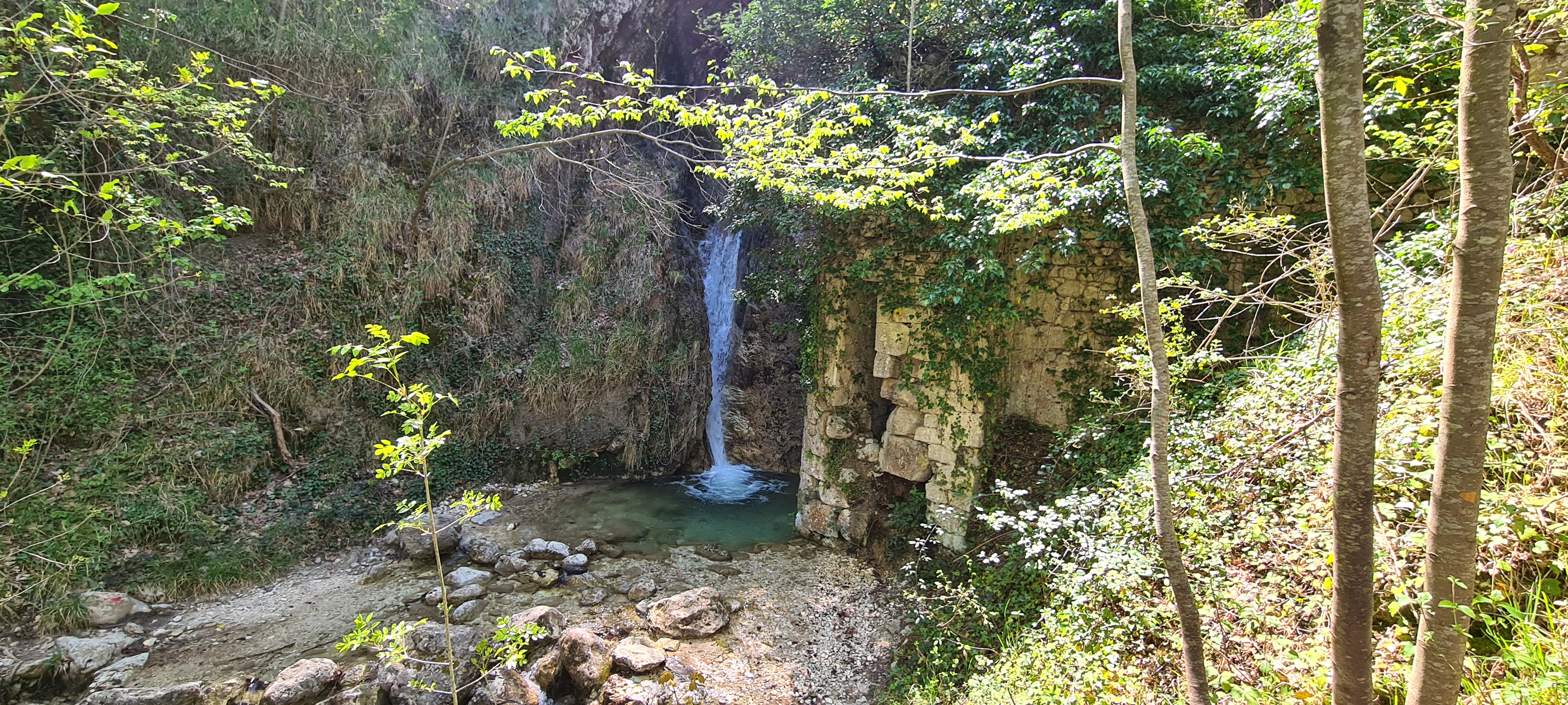 Monte Nerone Sentiero 1 - immagine 4