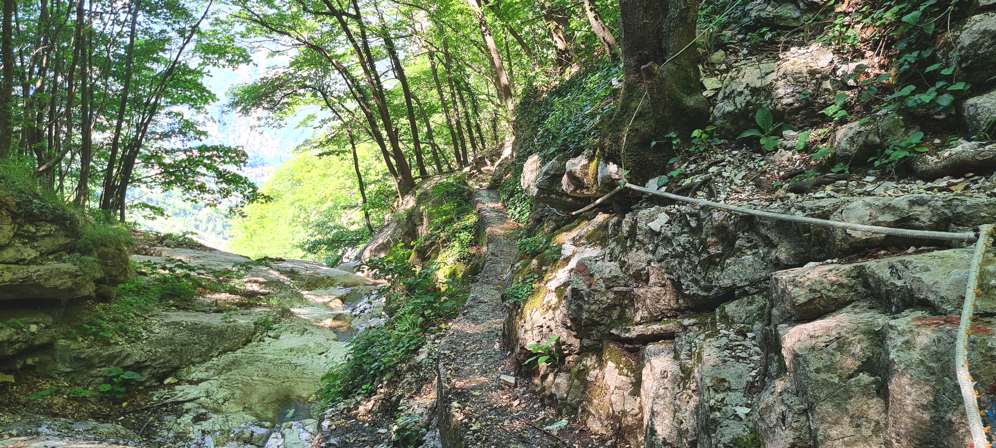 Monte Nerone Sentiero 1 - immagine 6