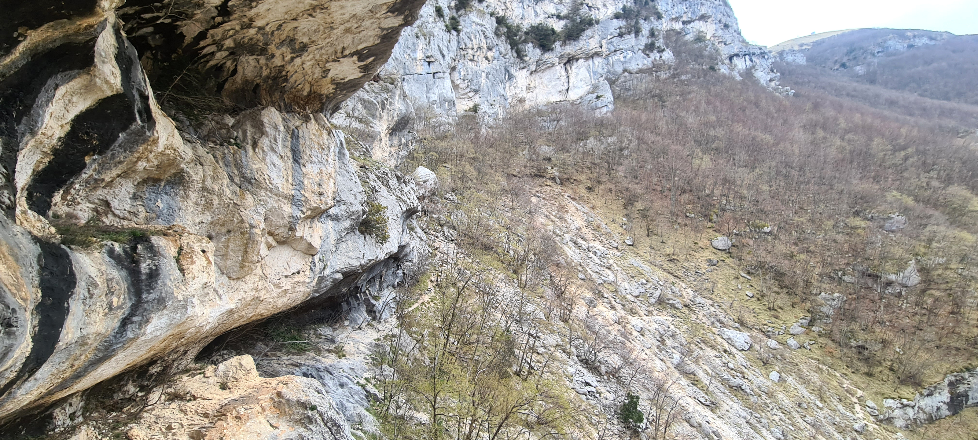 Monte Nerone Sentiero 1 - immagine 8