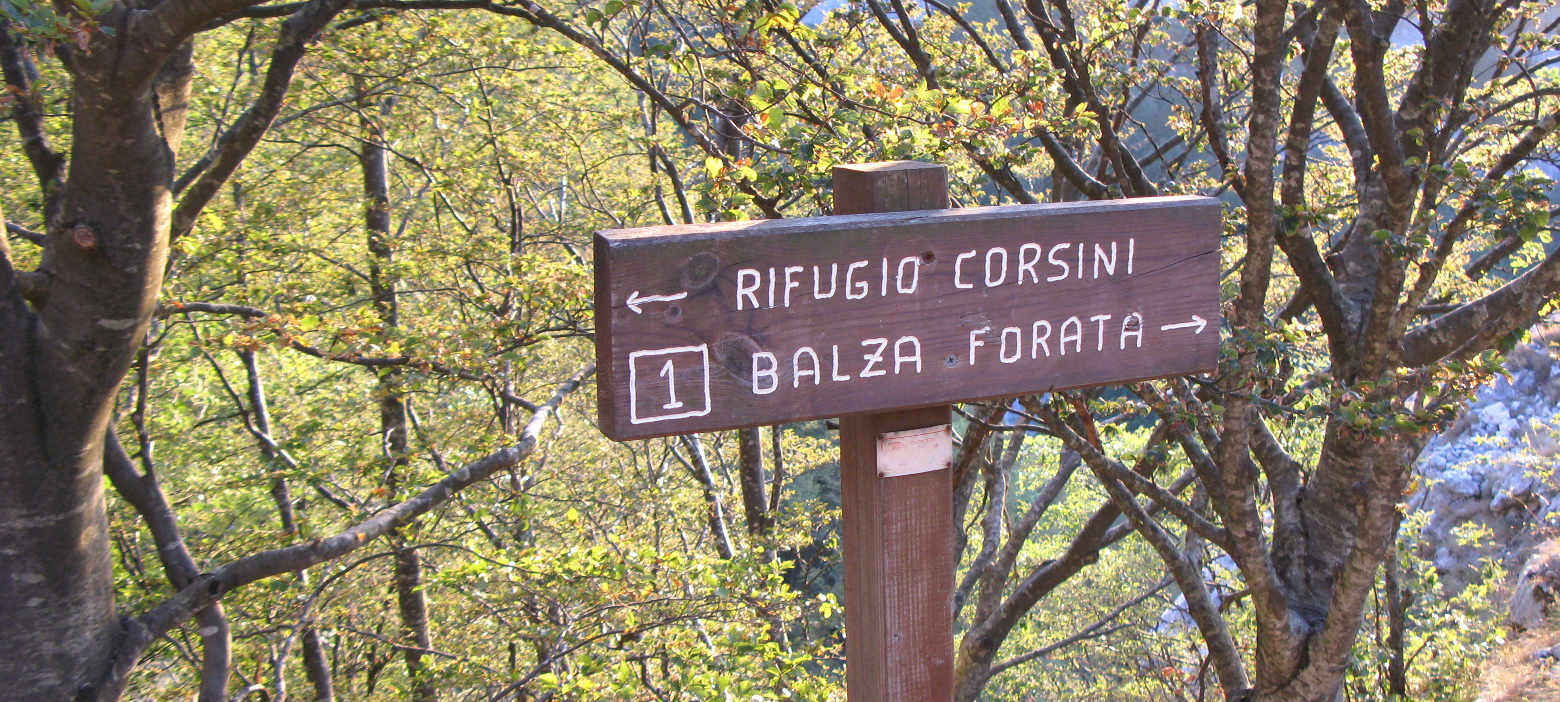 Monte Nerone Sentiero 1 - immagine 10