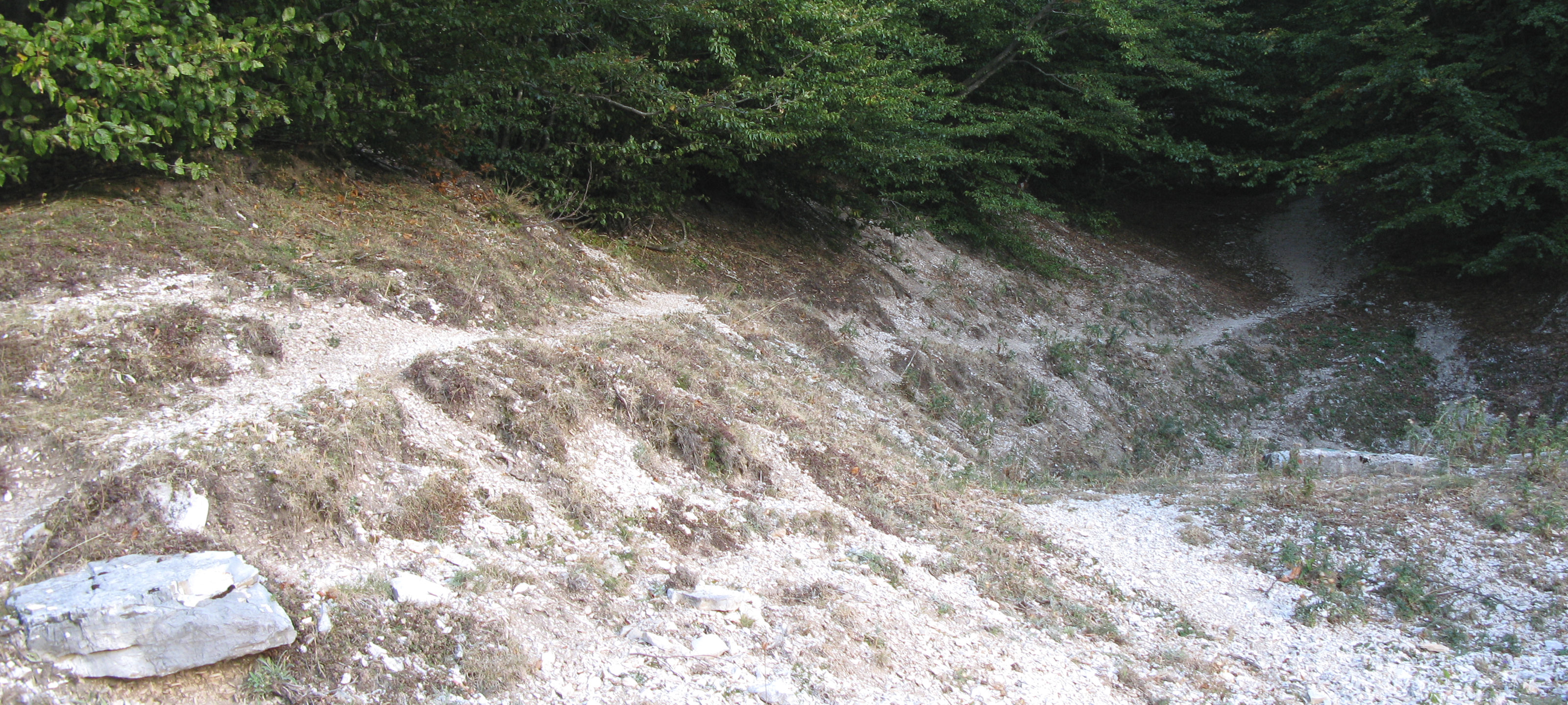 Monte Nerone Sentiero 1 - immagine 13