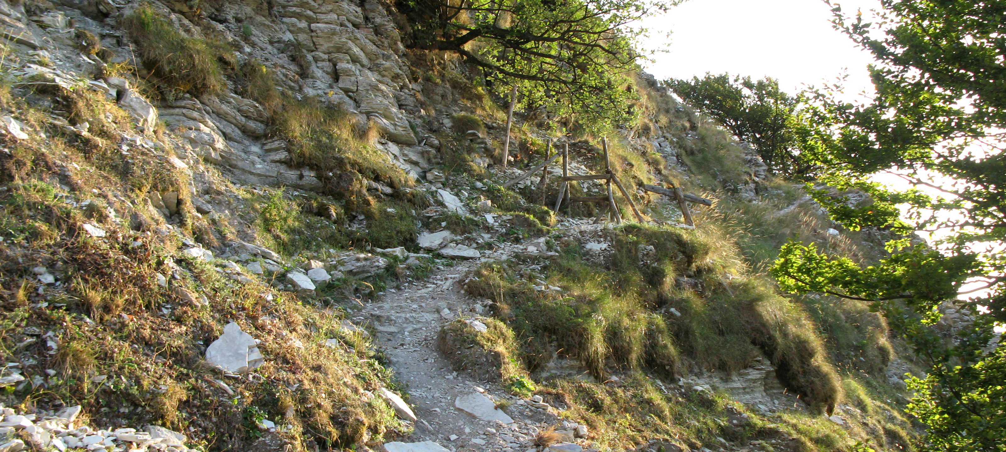 Monte Nerone Sentiero 1 - immagine 14