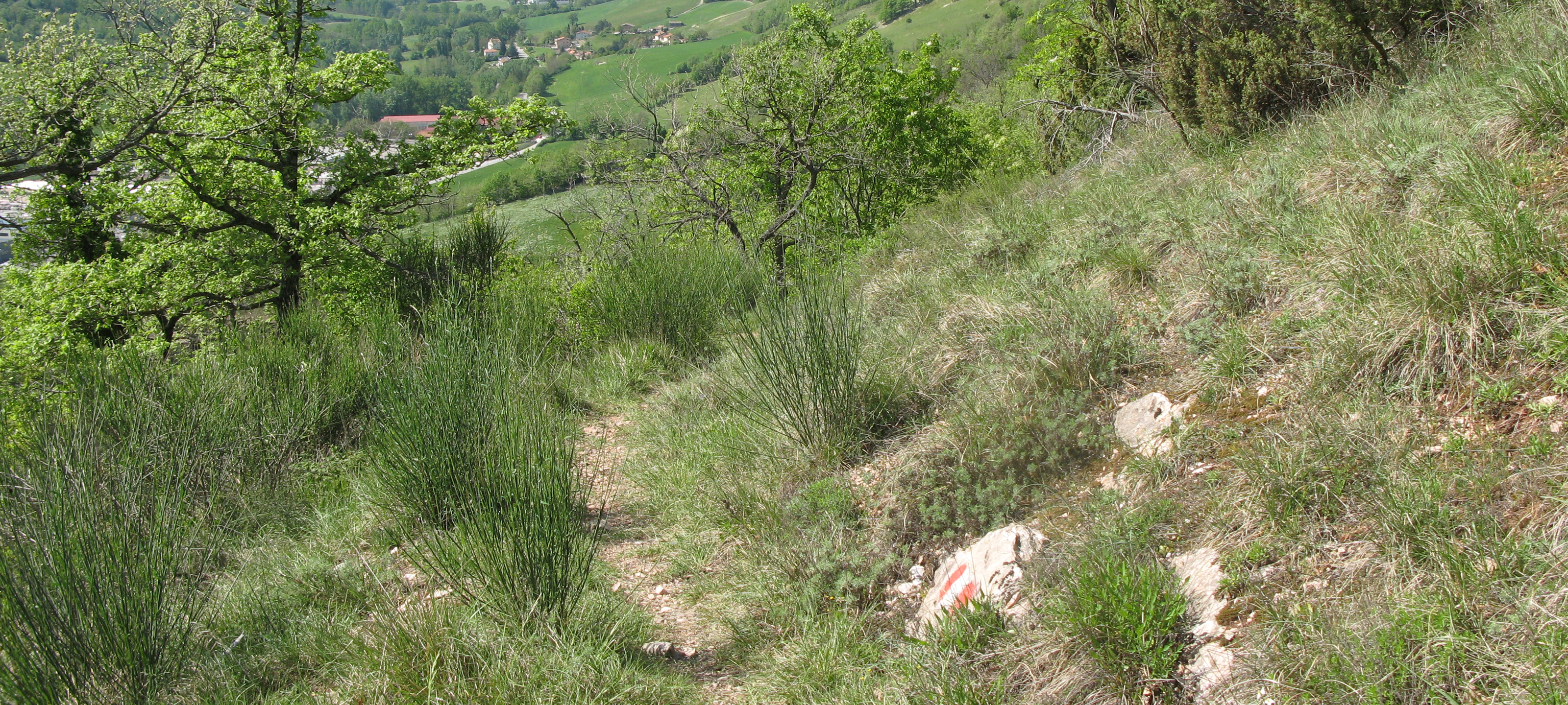 Monte di Montiego Sentiero 10 - immagine 1