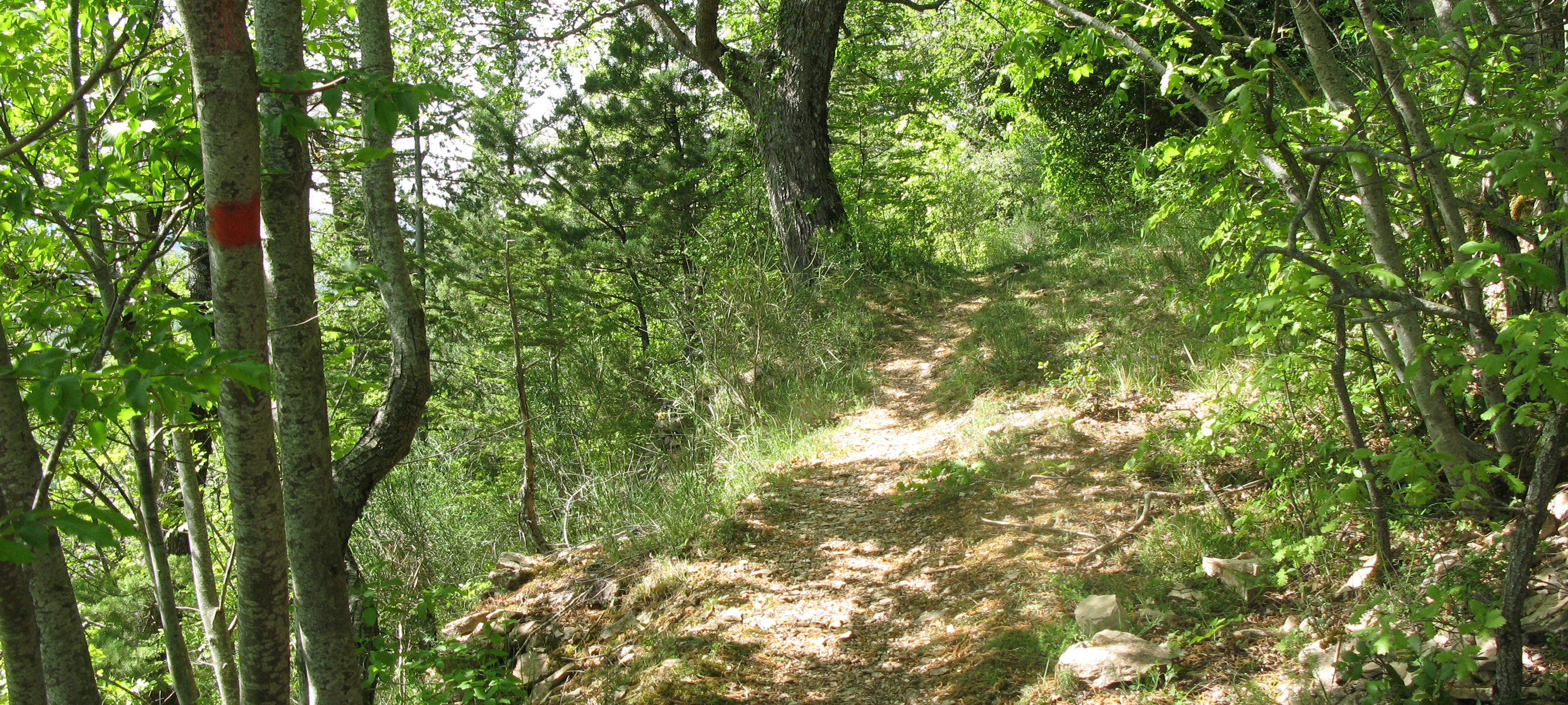 Monte di Montiego Sentiero 10 - immagine 2