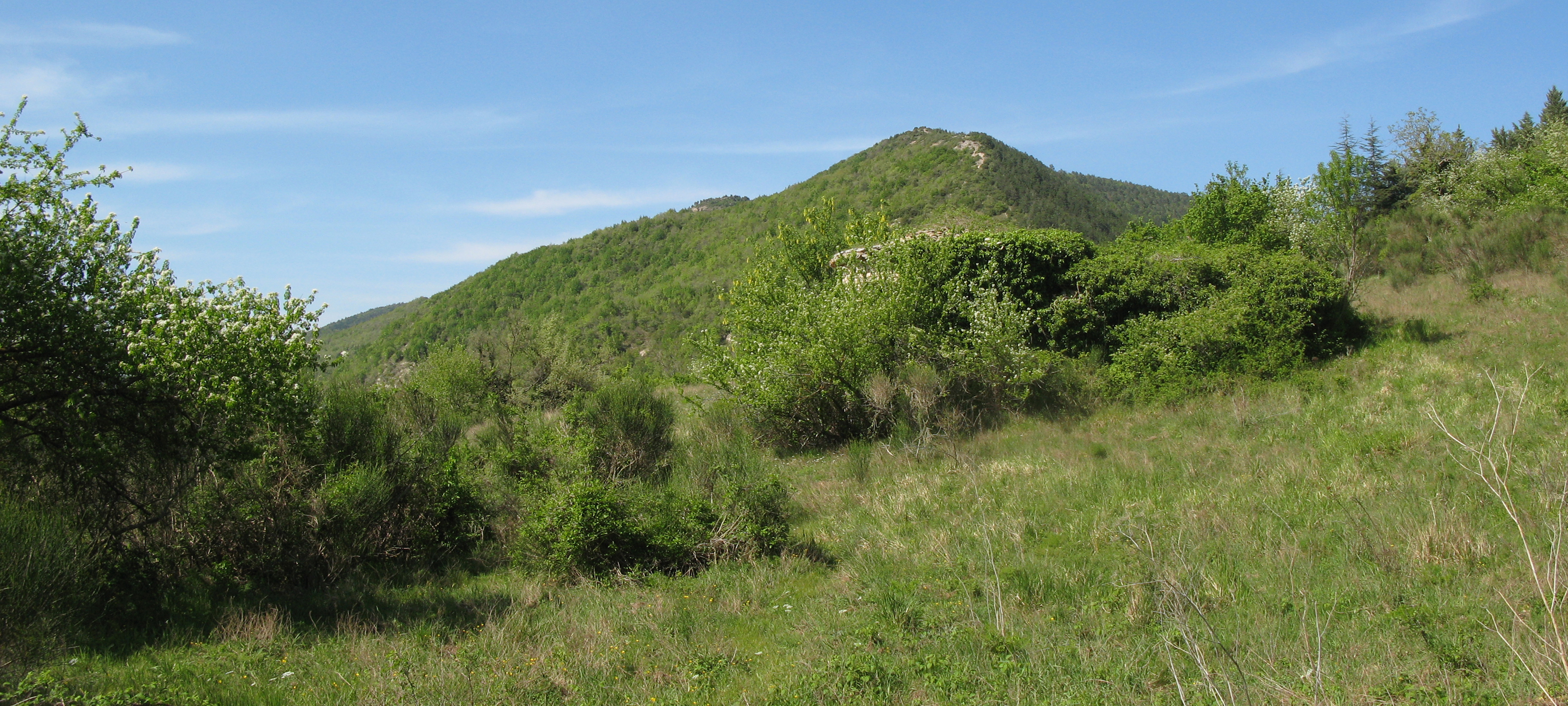 Monte di Montiego Sentiero 10 - immagine 3