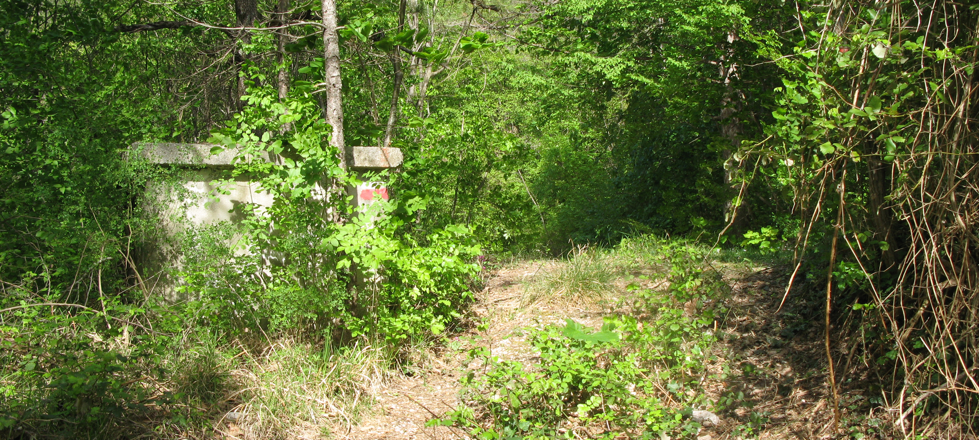 Monte di Montiego Sentiero 10 - immagine 5