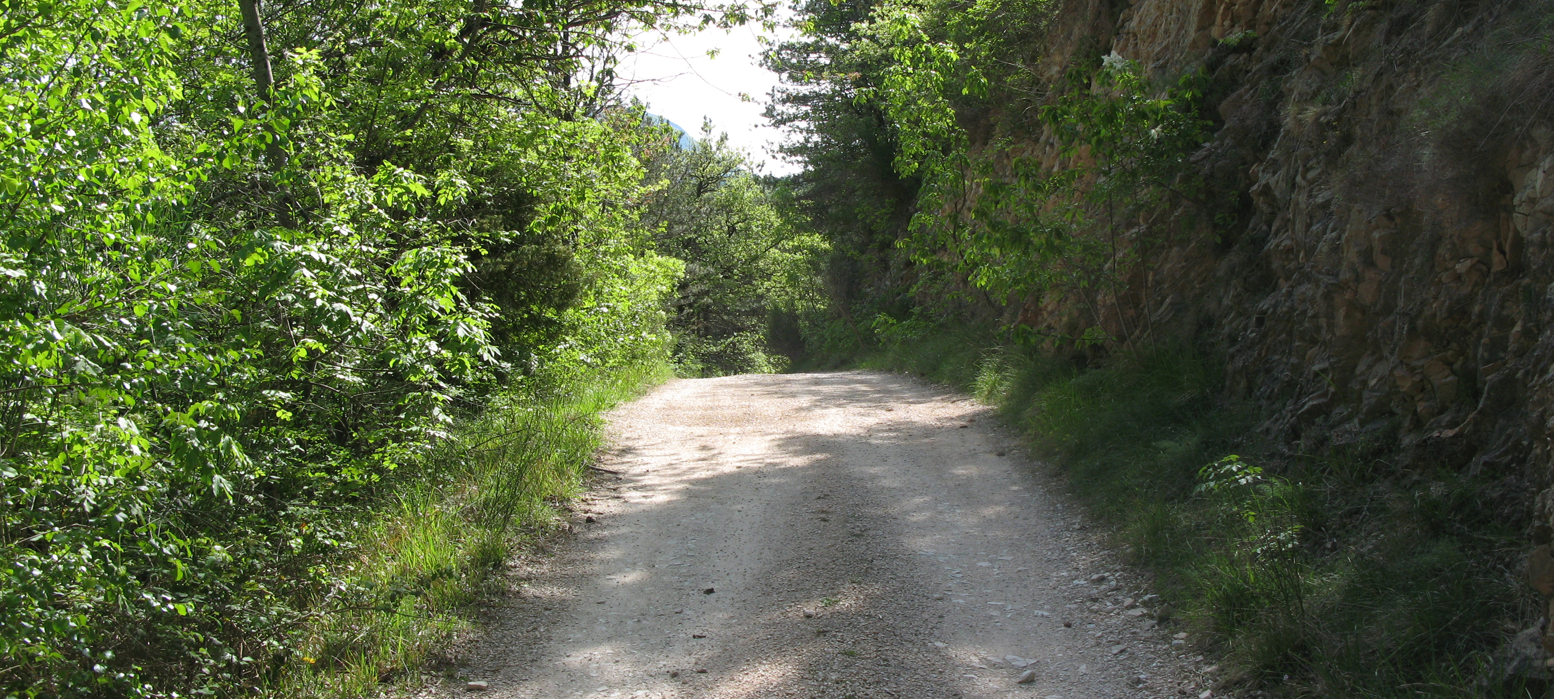 Monte di Montiego Sentiero 10 - immagine 6