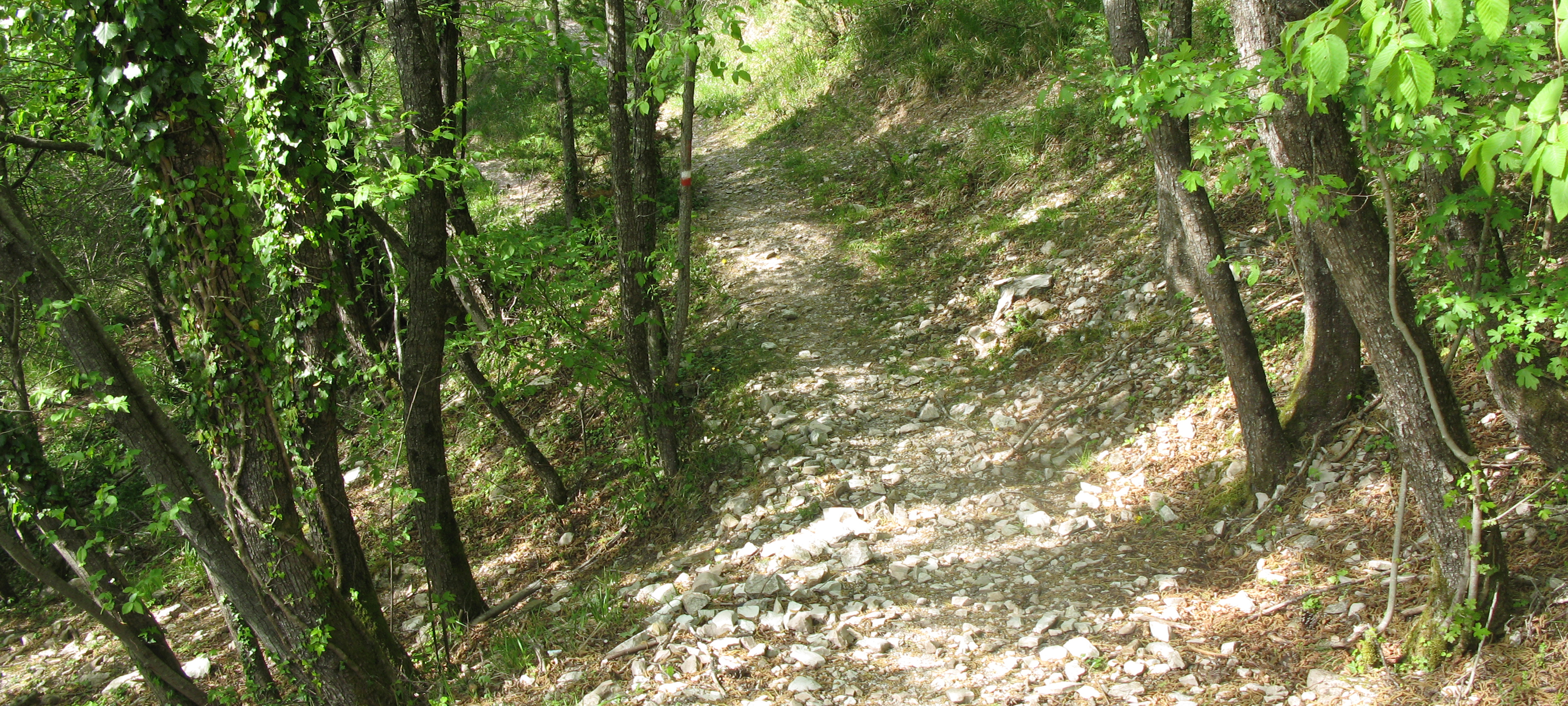 Monte di Montiego Sentiero 10 - immagine 8