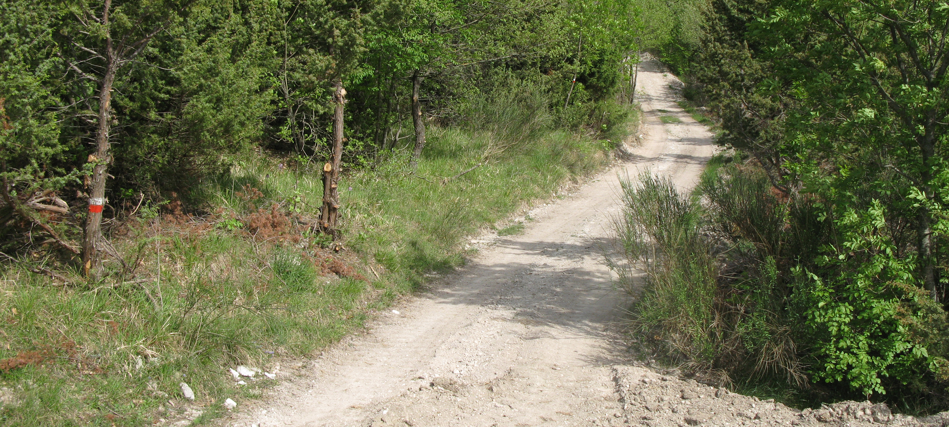 Monte di Montiego Sentiero 10 - immagine 9