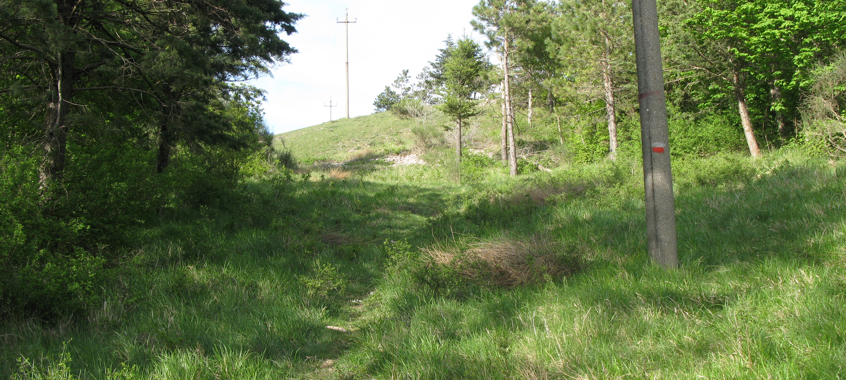 Monte di Montiego Sentiero 10 - immagine 11