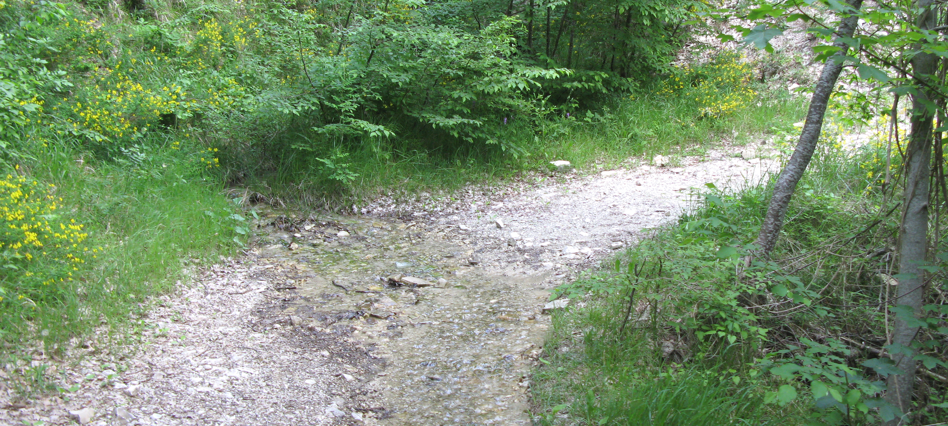 Parco Sasso Simone e Simoncello Sentiero 101 - immagine 3
