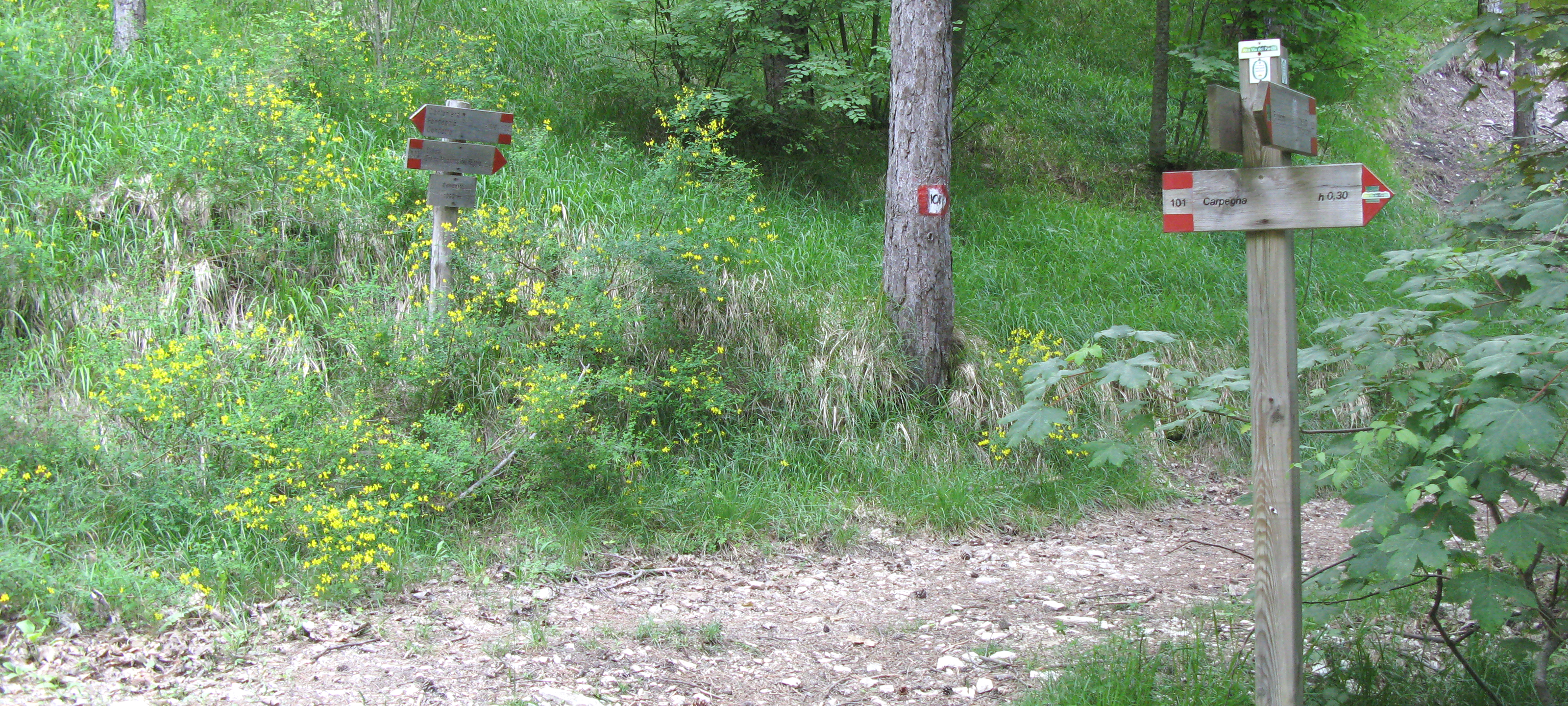 Parco Sasso Simone e Simoncello Sentiero 101 - immagine 5