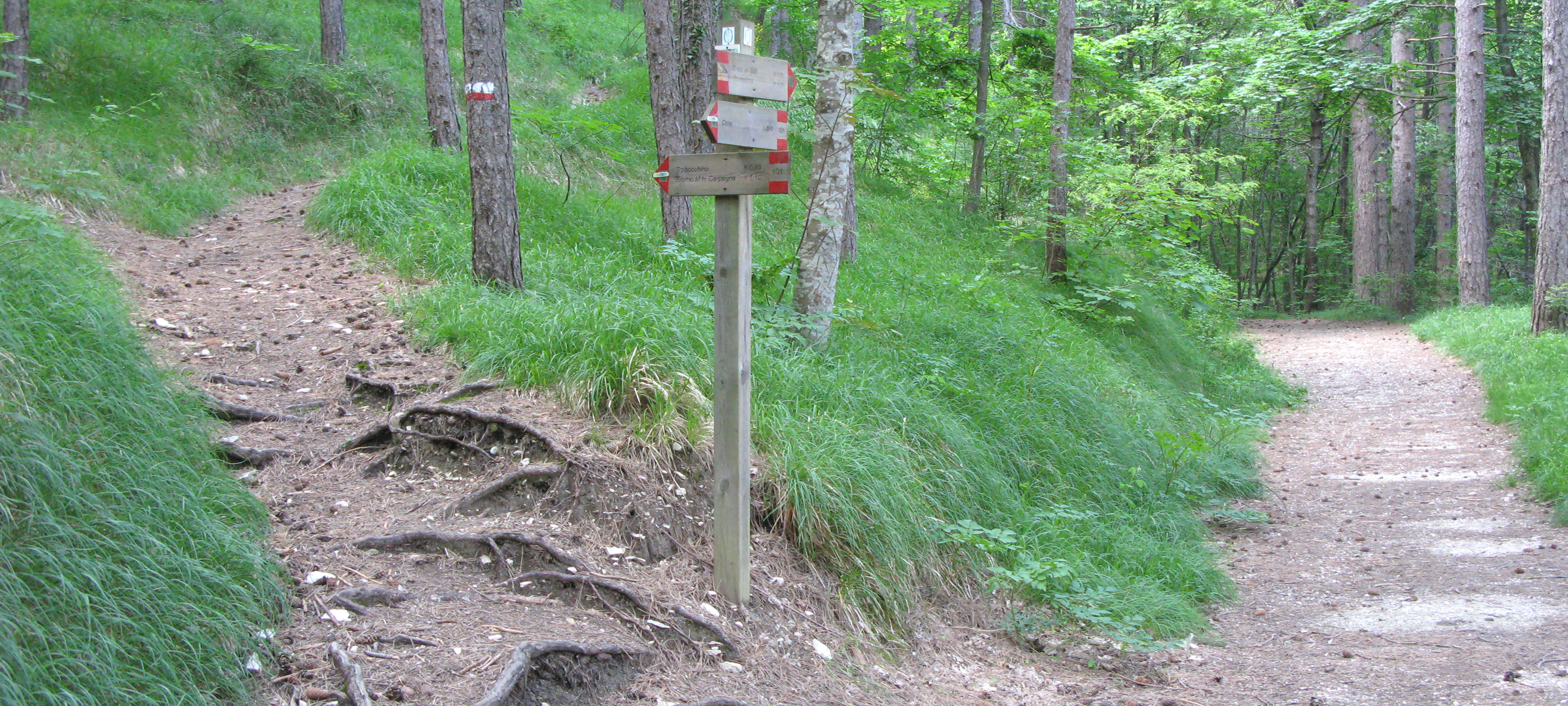 Parco Sasso Simone e Simoncello Sentiero 101 - immagine 9