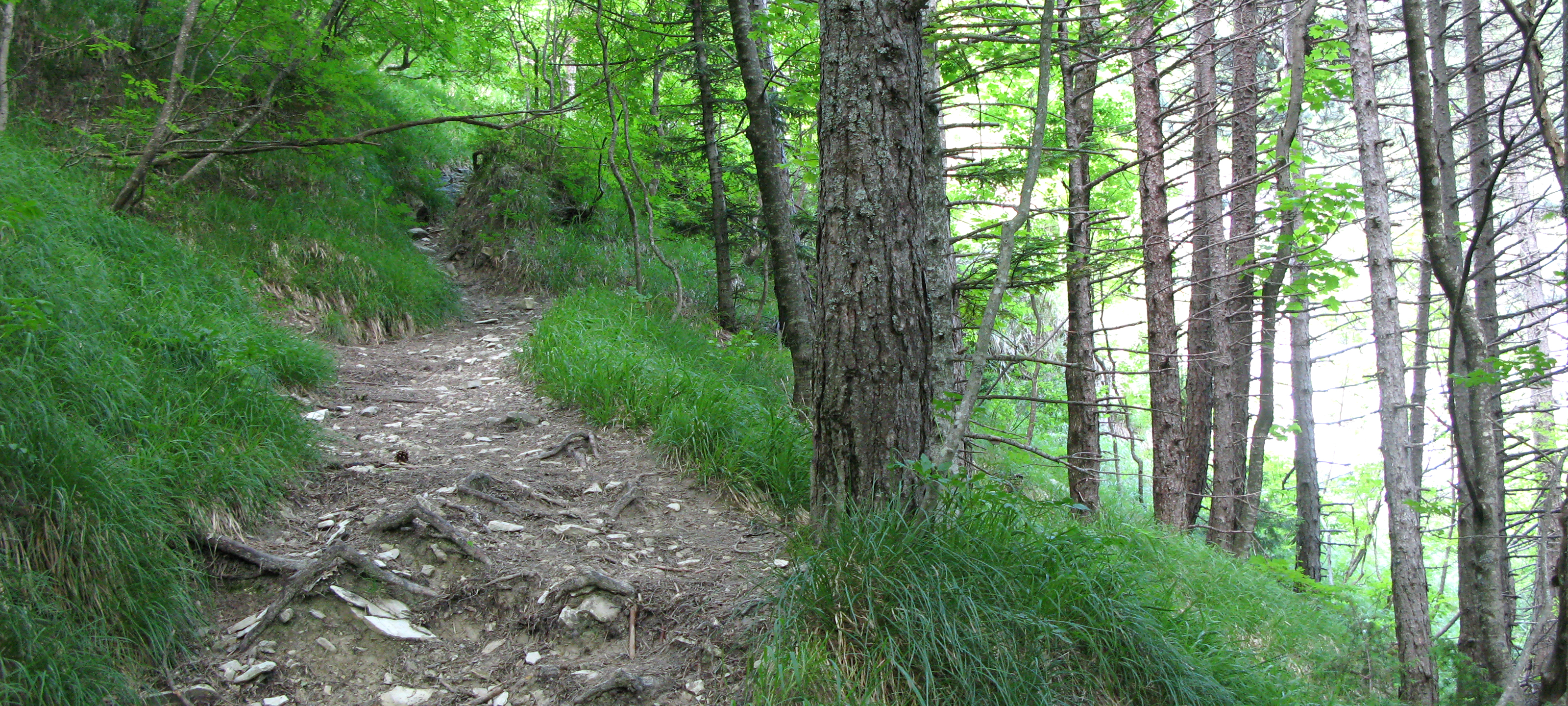Parco Sasso Simone e Simoncello Sentiero 101 - immagine 10