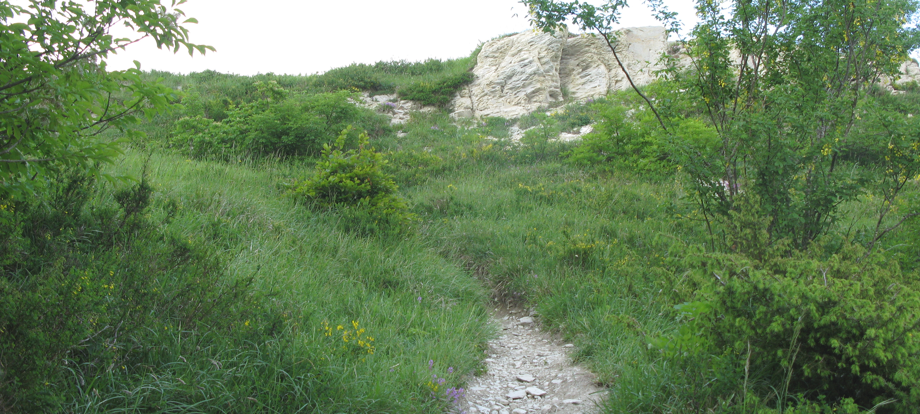 Parco Sasso Simone e Simoncello Sentiero 101 - immagine 11