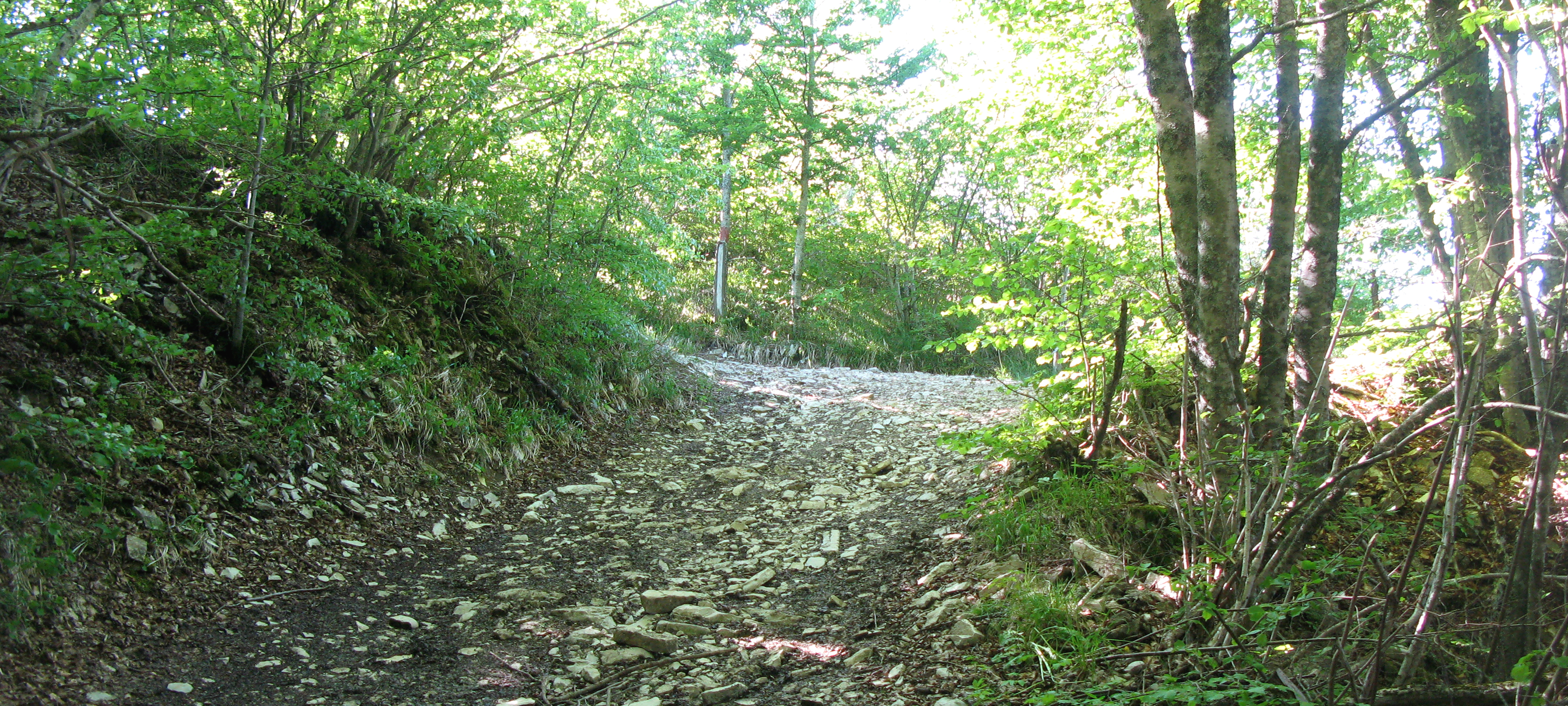 Monte Carpegna Sentiero 102/C - immagine 5