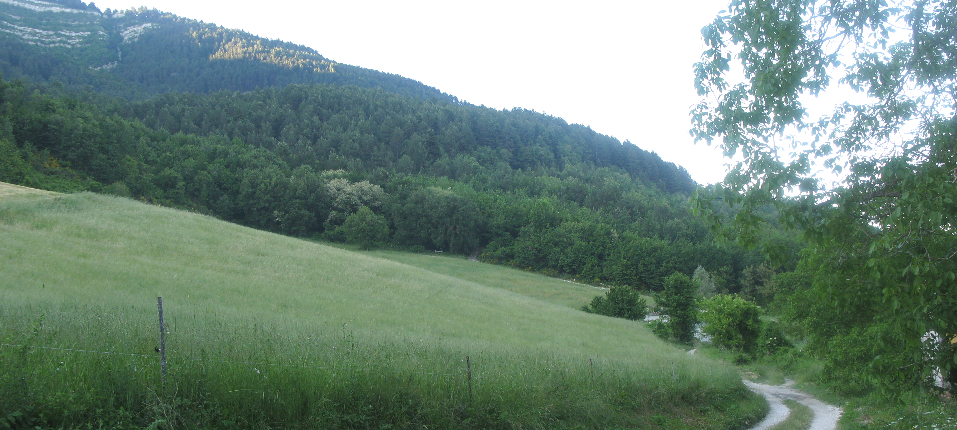 Parco Sasso Simone e Simoncello Sentiero 104 - immagine 3