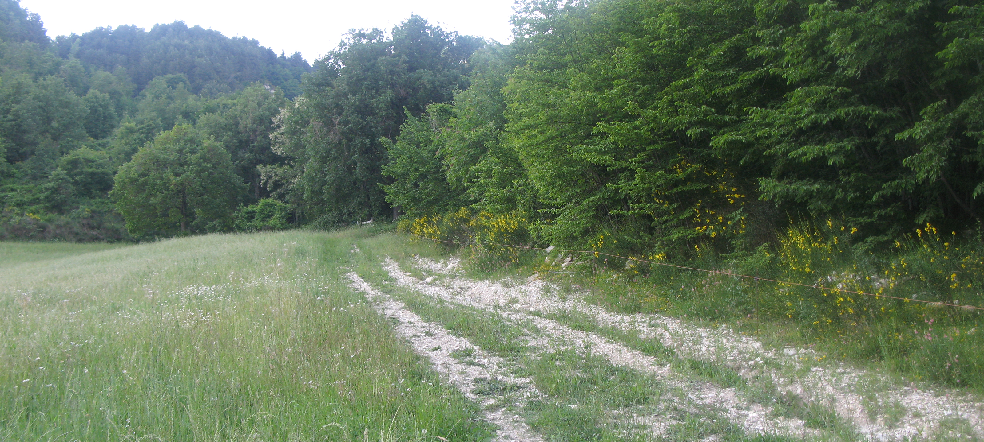 Parco Sasso Simone e Simoncello Sentiero 104 - immagine 4