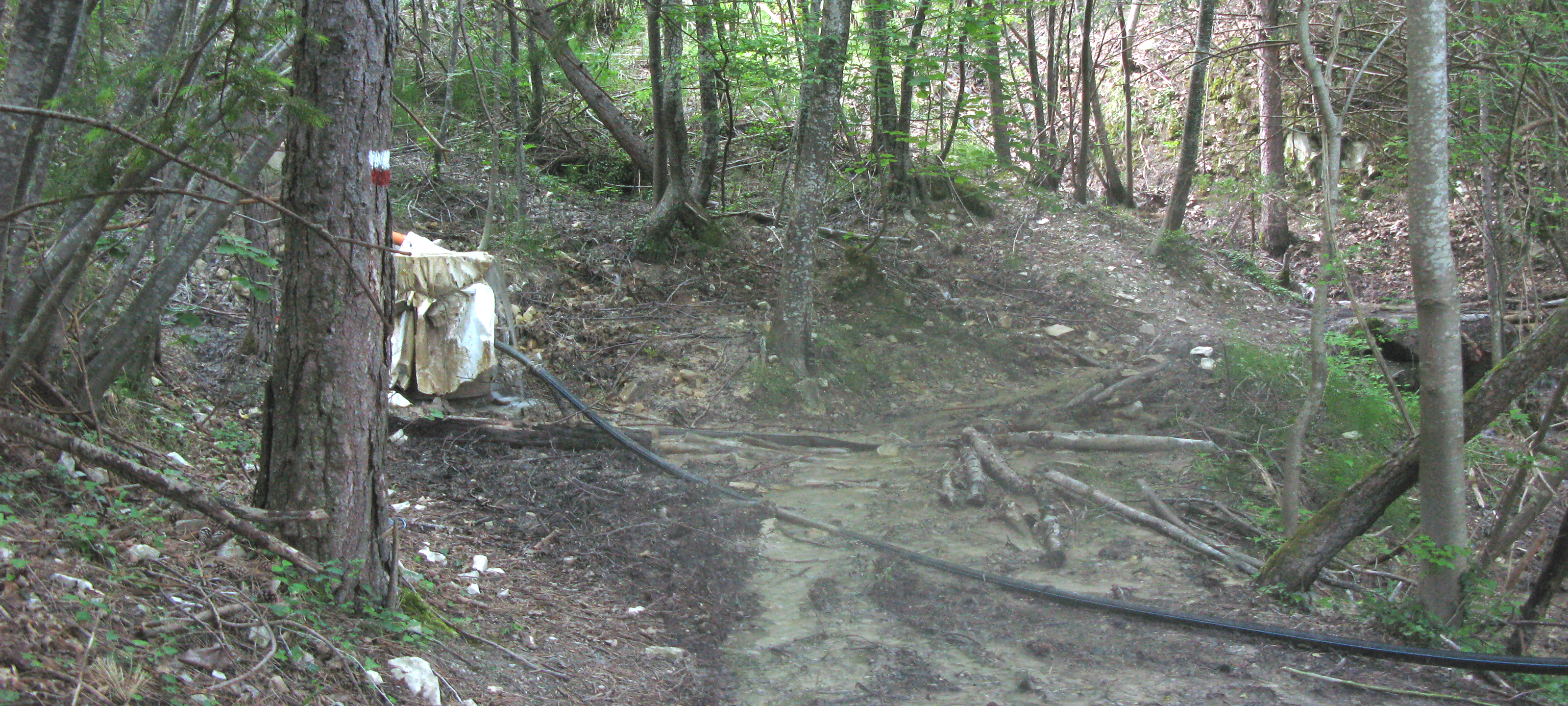 Parco Sasso Simone e Simoncello Sentiero 104 - immagine 5