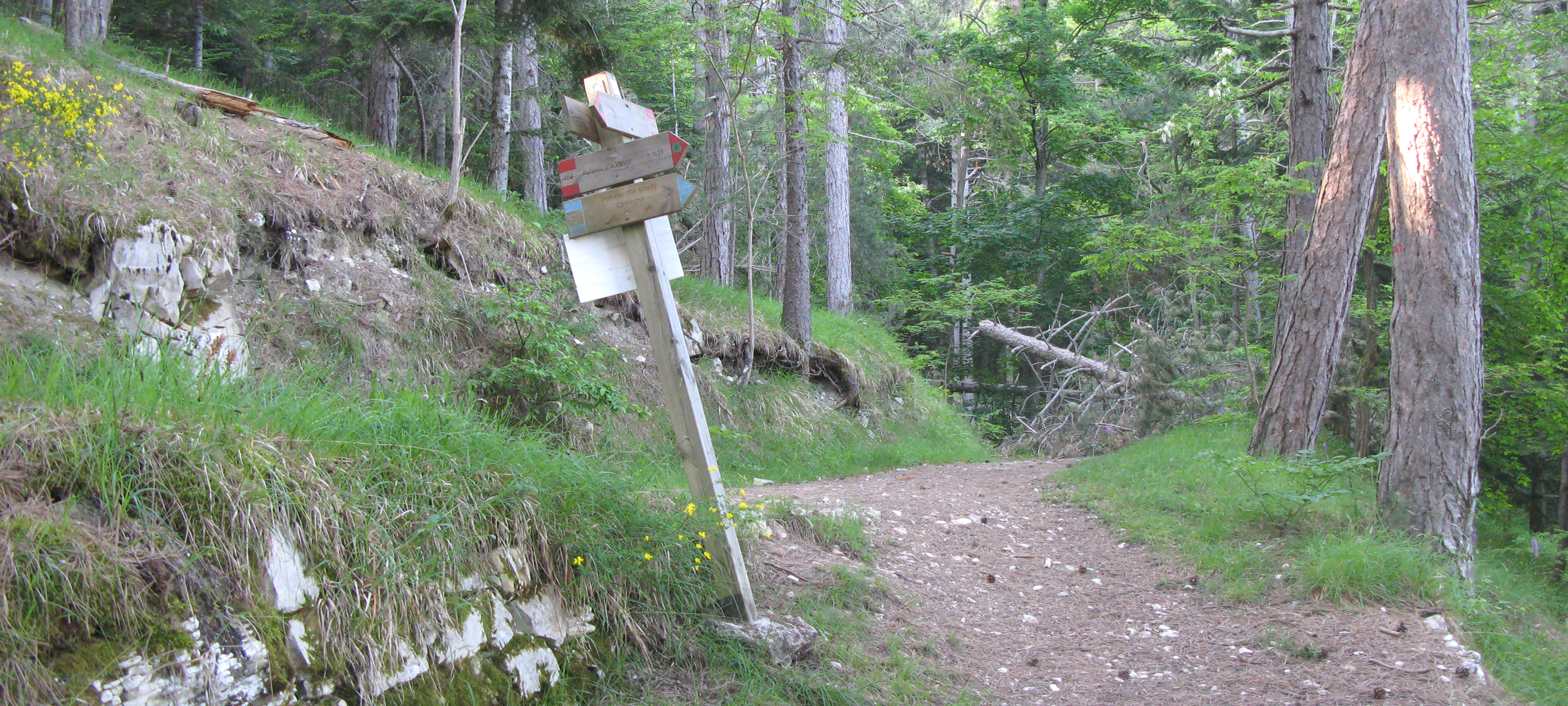 Parco Sasso Simone e Simoncello Sentiero 104 - immagine 6