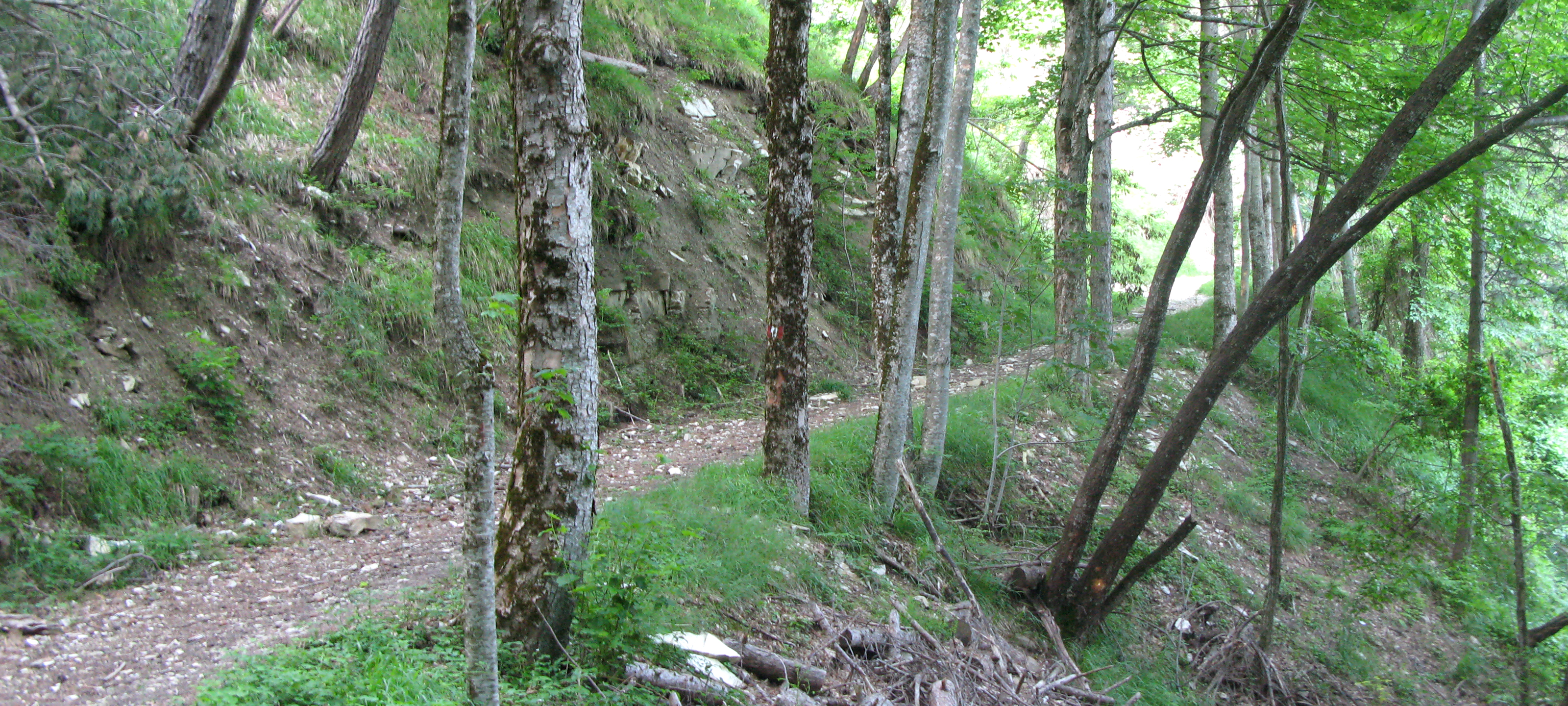 Parco Sasso Simone e Simoncello Sentiero 104 - immagine 7
