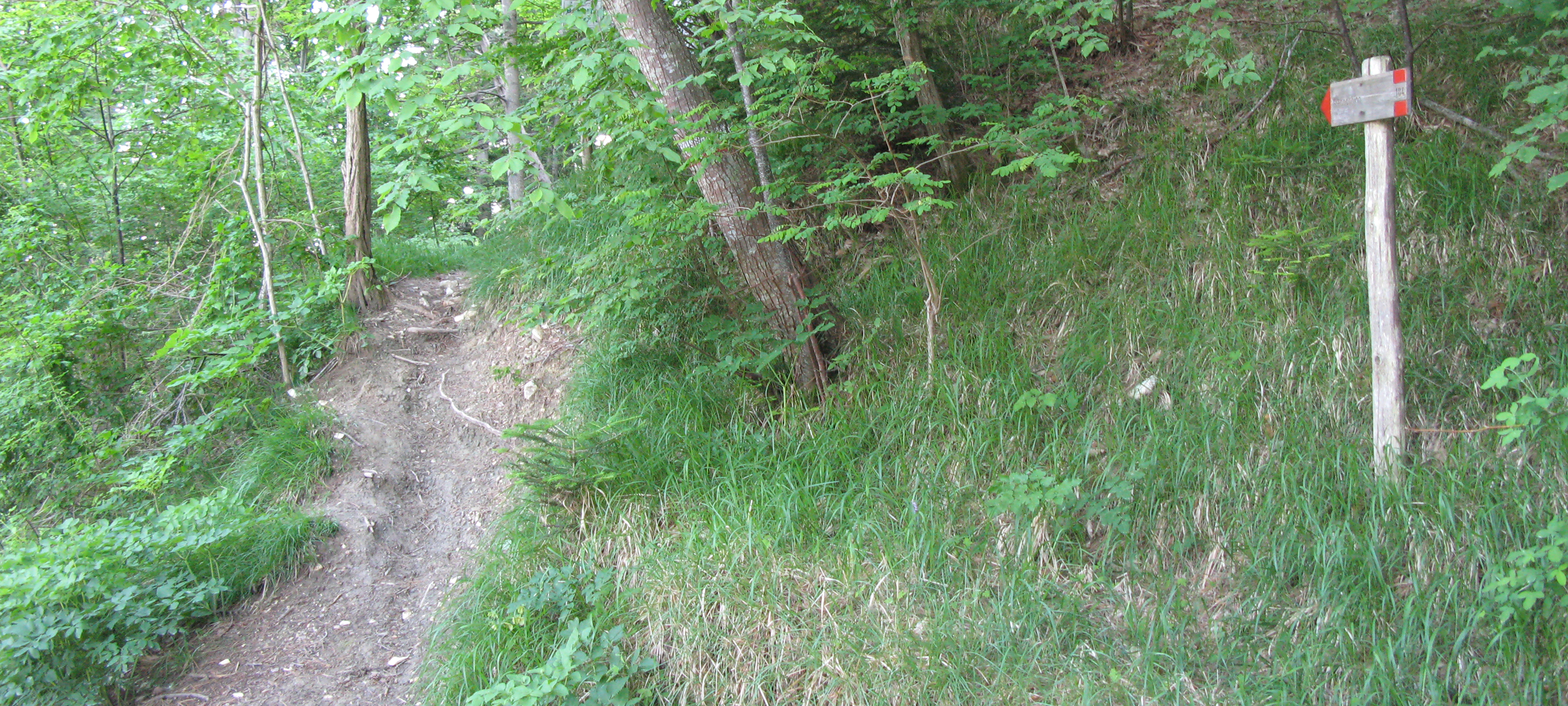Parco Sasso Simone e Simoncello Sentiero 104 - immagine 8