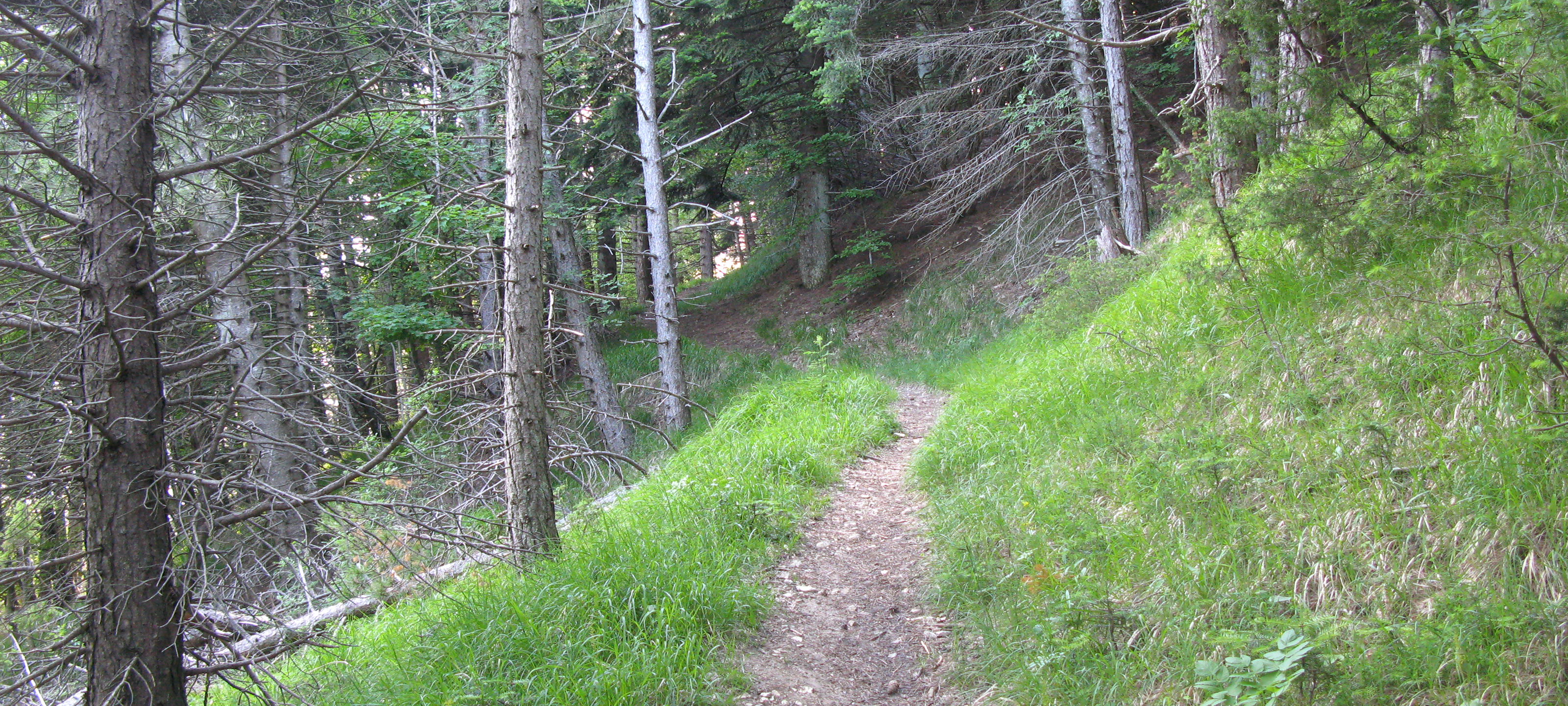 Parco Sasso Simone e Simoncello Sentiero 104 - immagine 9