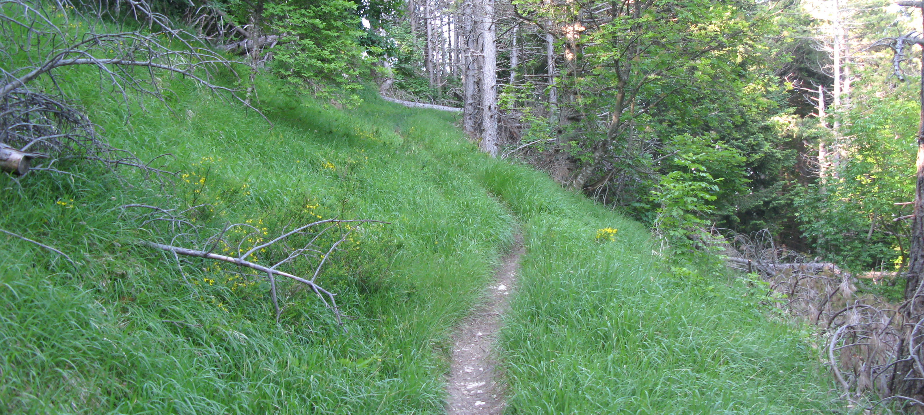 Parco Sasso Simone e Simoncello Sentiero 104 - immagine 10