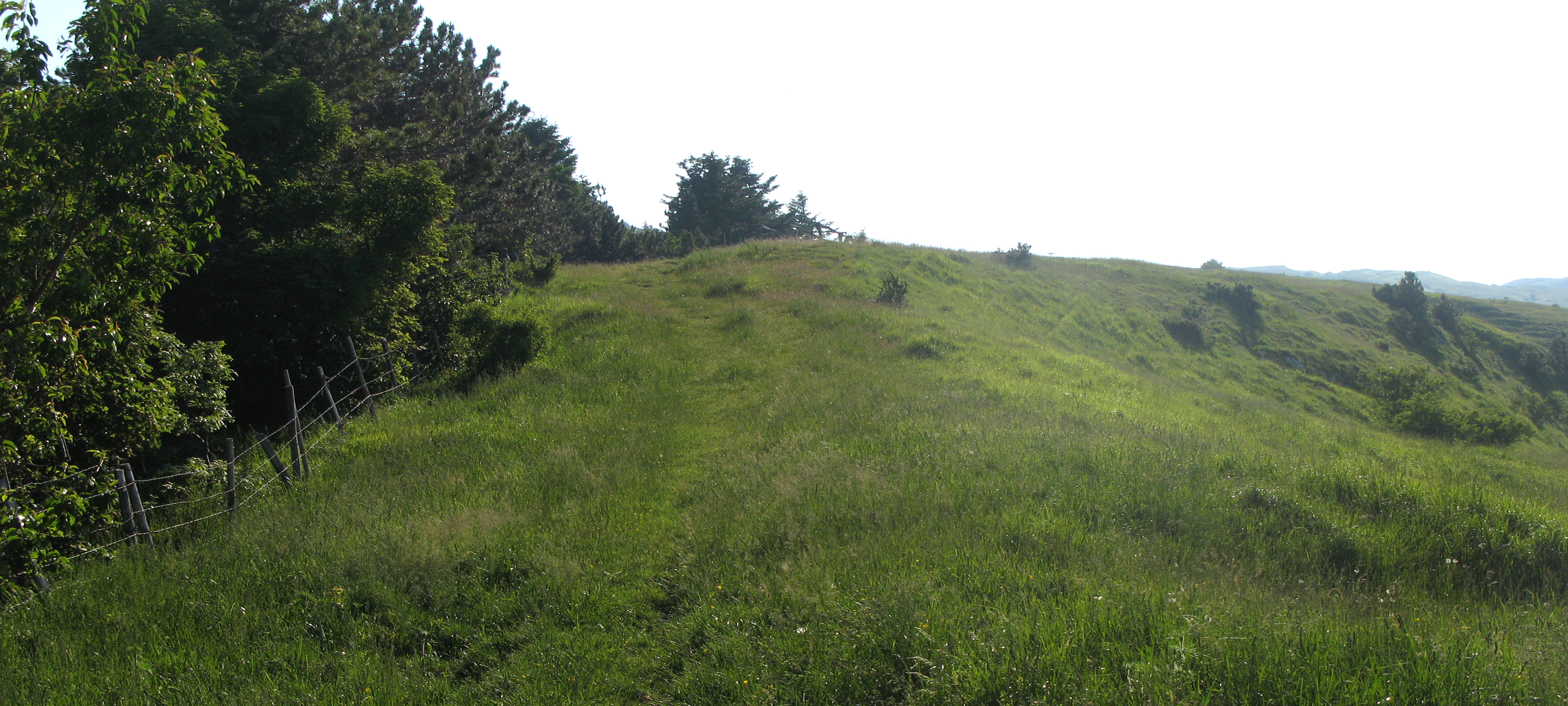 Parco Sasso Simone e Simoncello Sentiero 104 - immagine 12