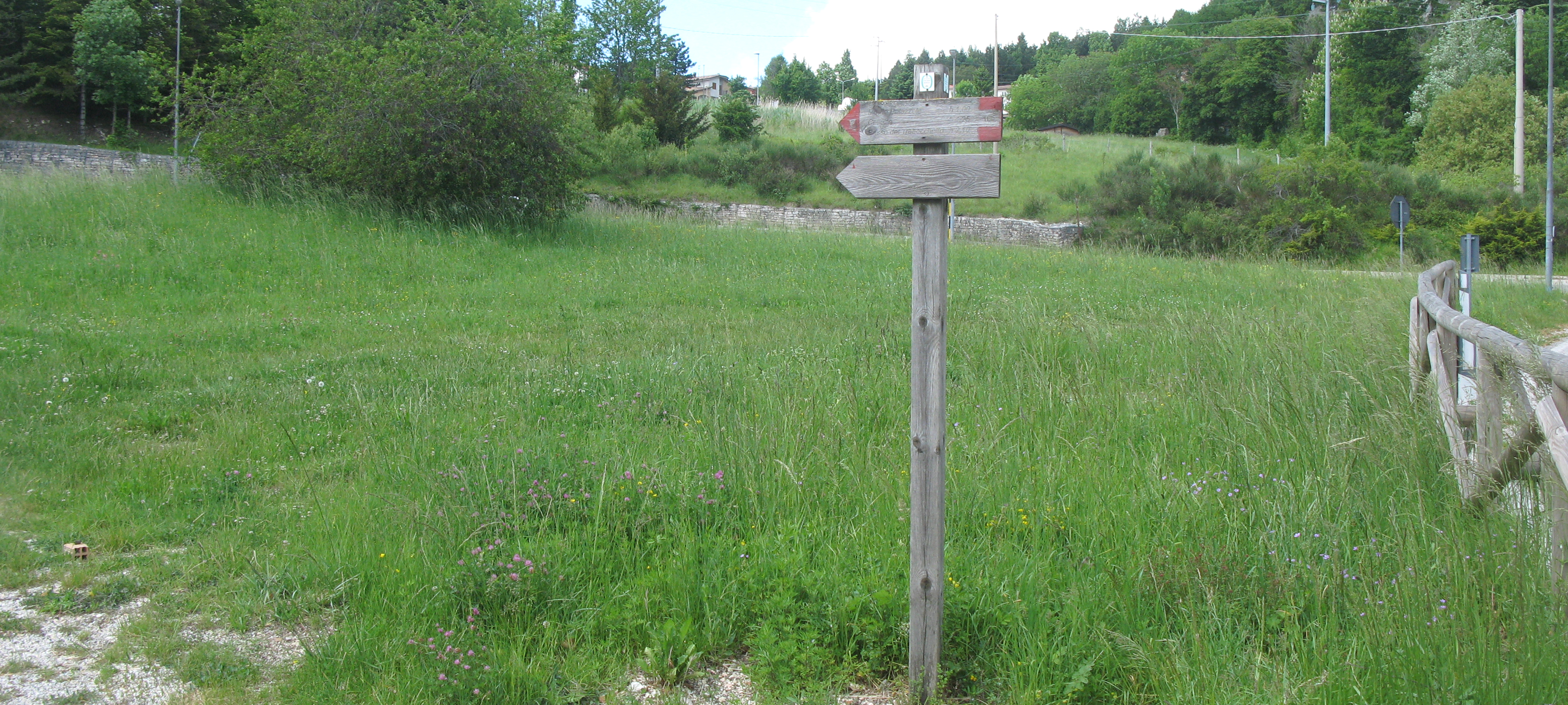 Monte Carpegna Sentiero 105 - immagine 1