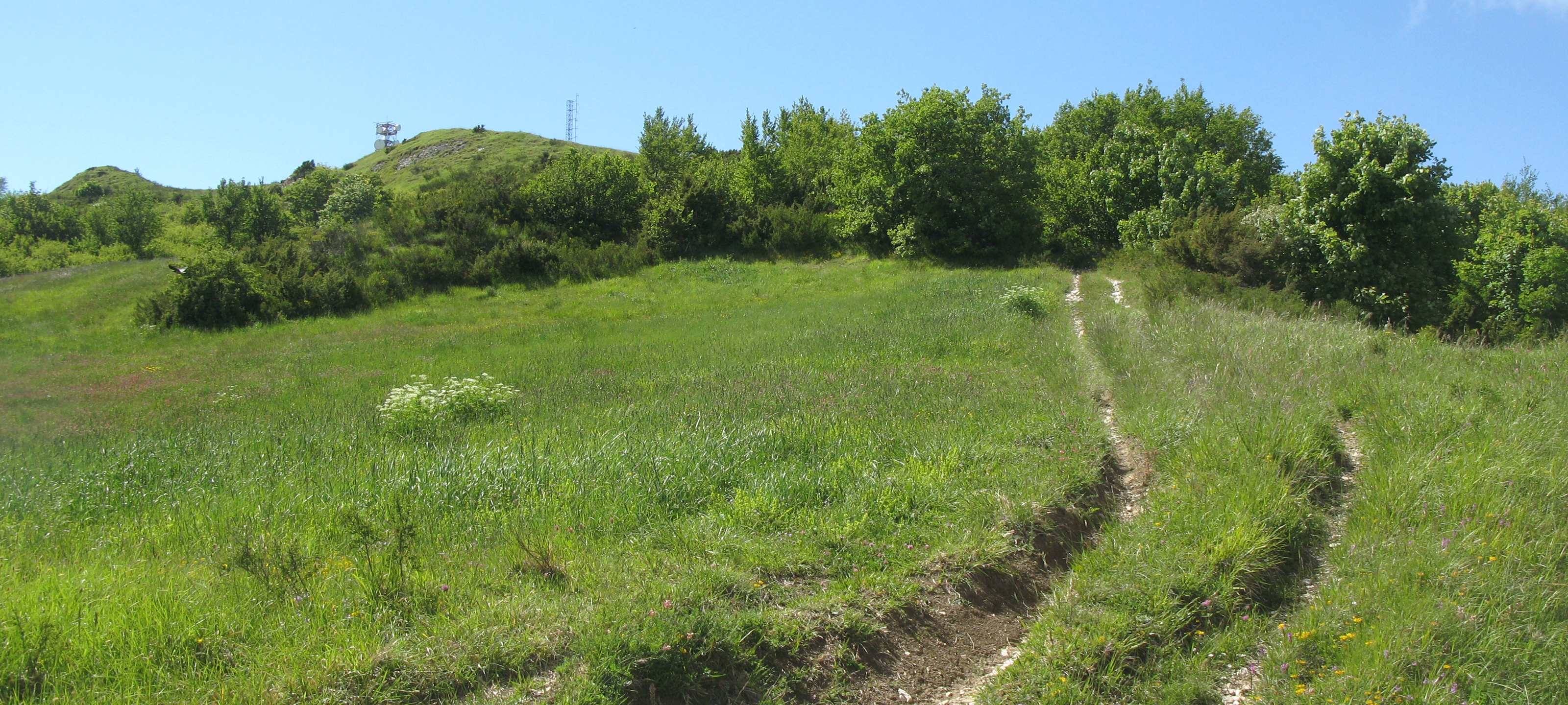 Monte Carpegna Sentiero 105 - immagine 5