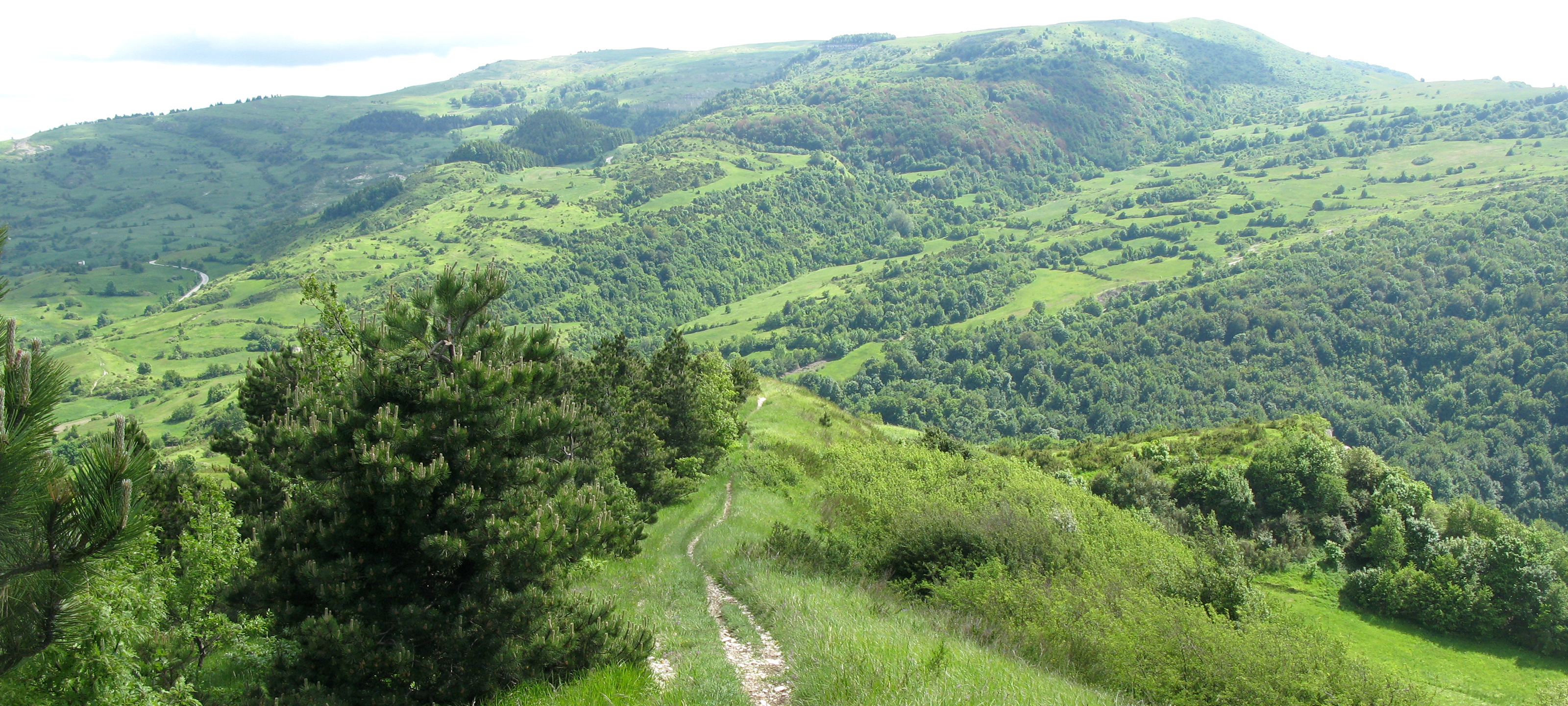 Monte Carpegna Sentiero 105 - immagine 8