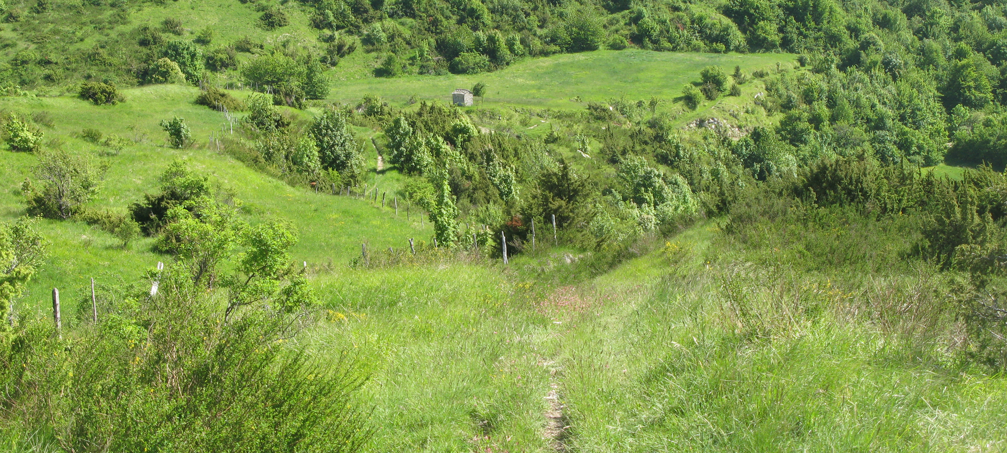 Monte Carpegna Sentiero 105 - immagine 9