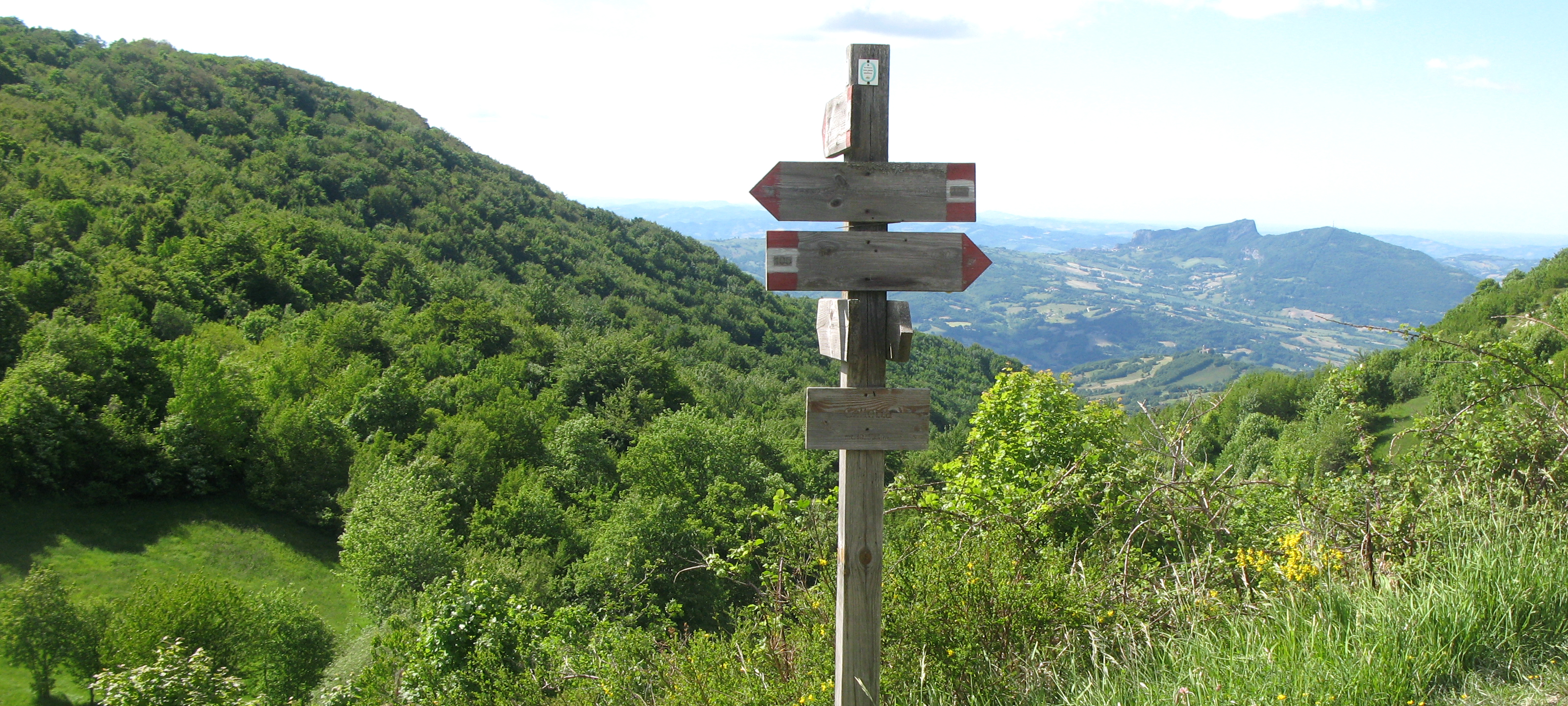 Monte Carpegna Sentiero 105 - immagine 10