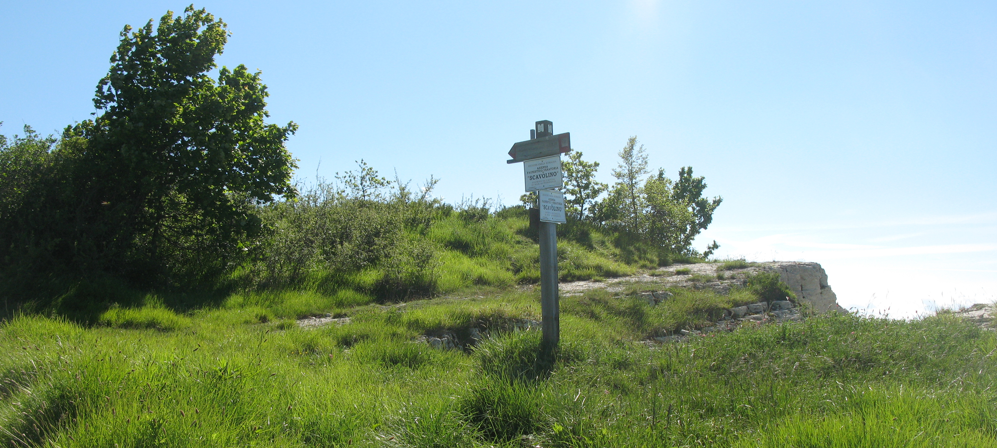 Monte Carpegna Sentiero 105 - immagine 12  (Passo del Trabocchetto)