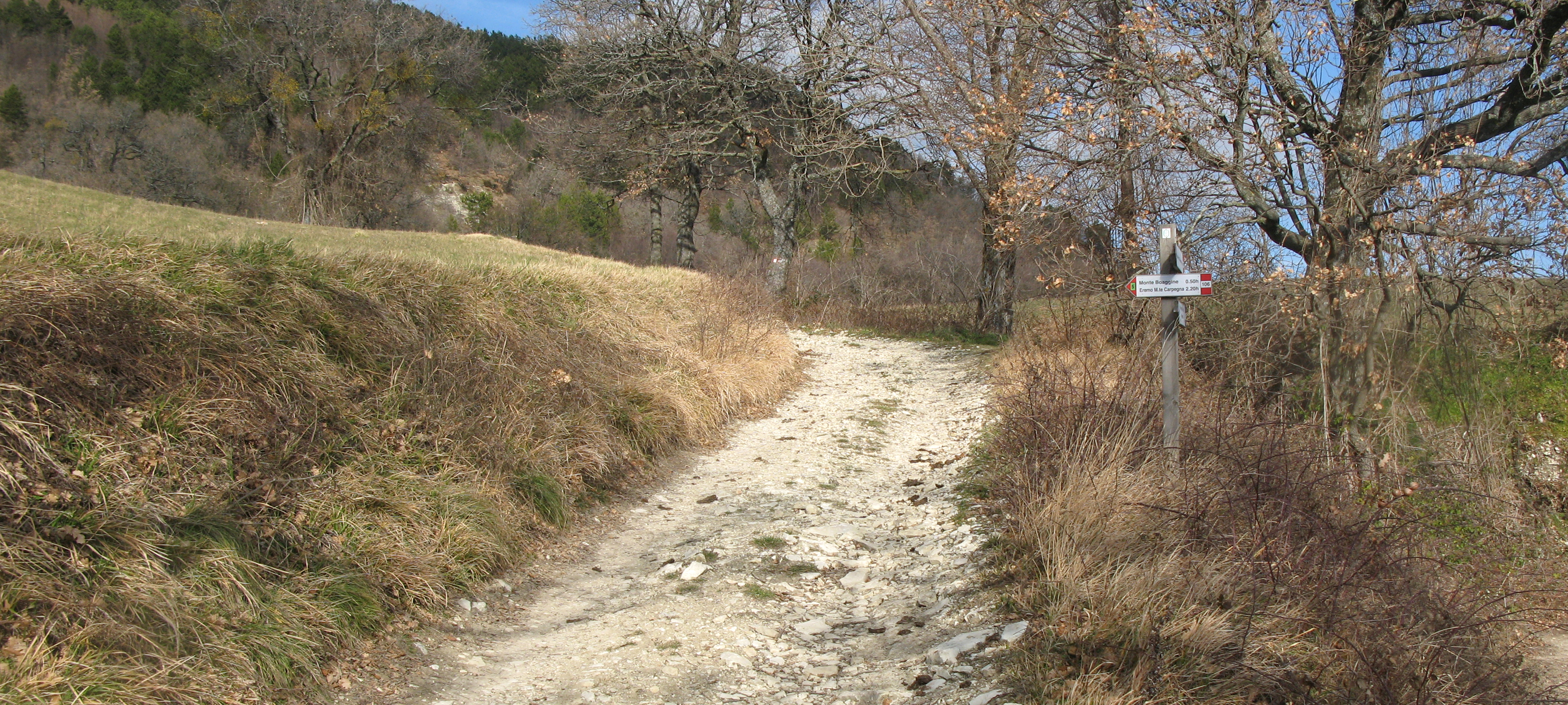 Monte Carpegna Sentiero 106 - immagine 1