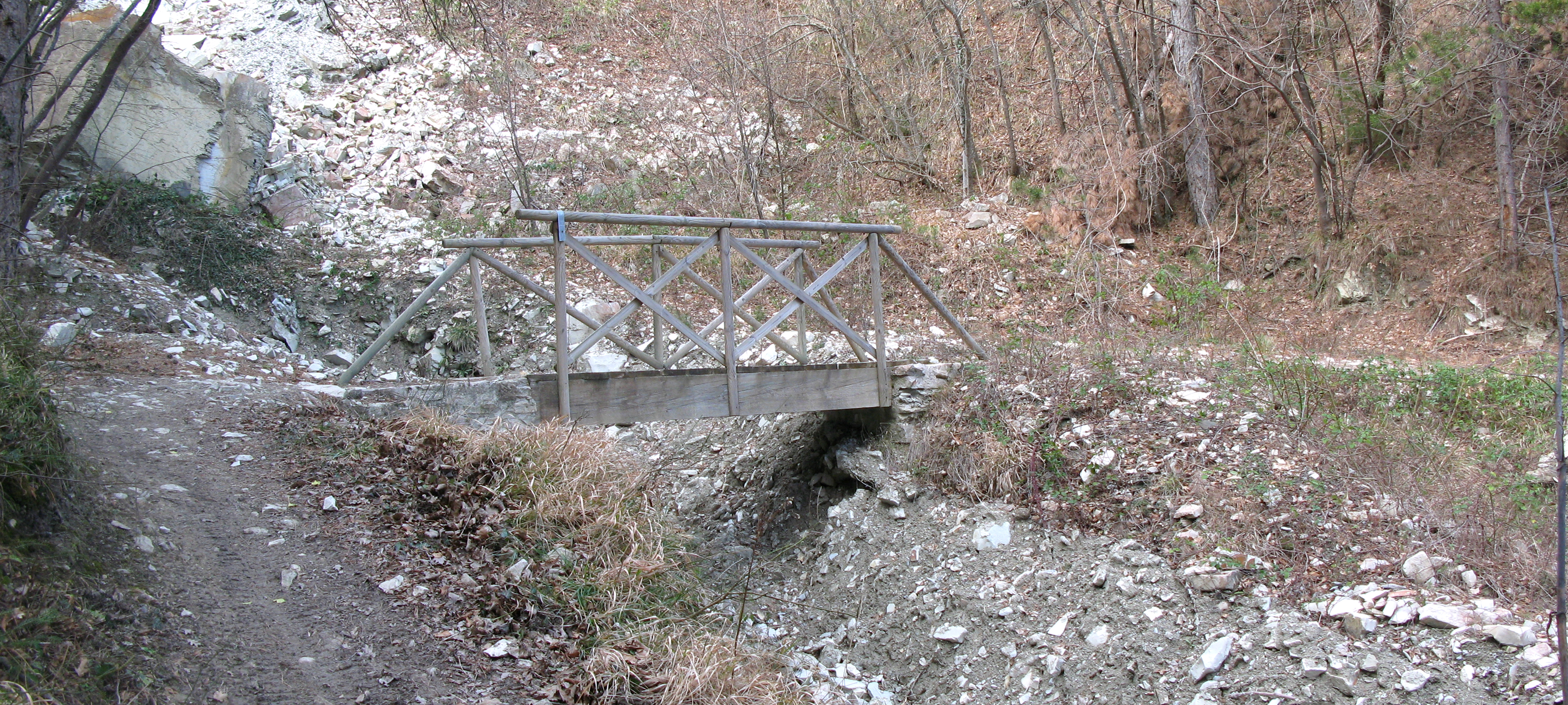 Monte Carpegna Sentiero 106 - immagine 2