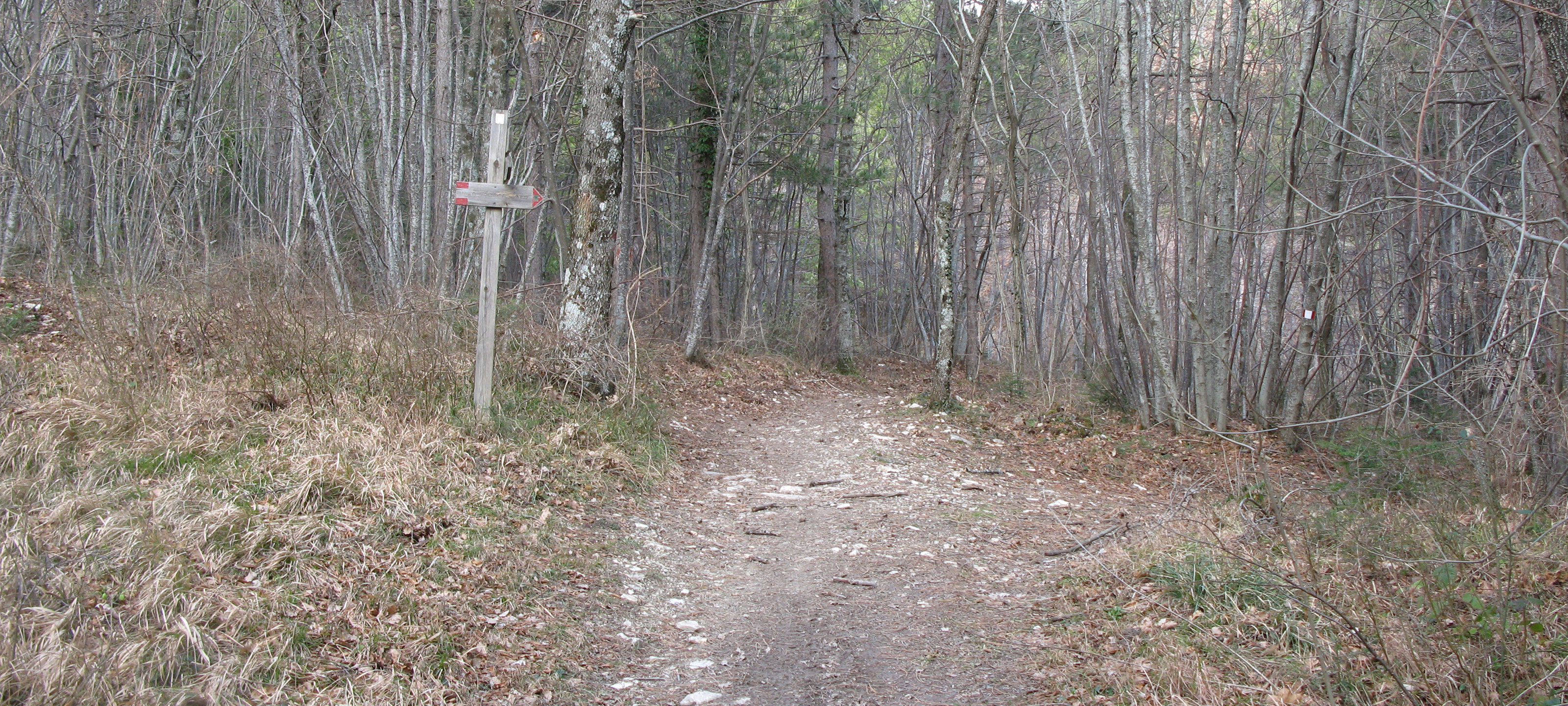 Monte Carpegna Sentiero 106 - immagine 3