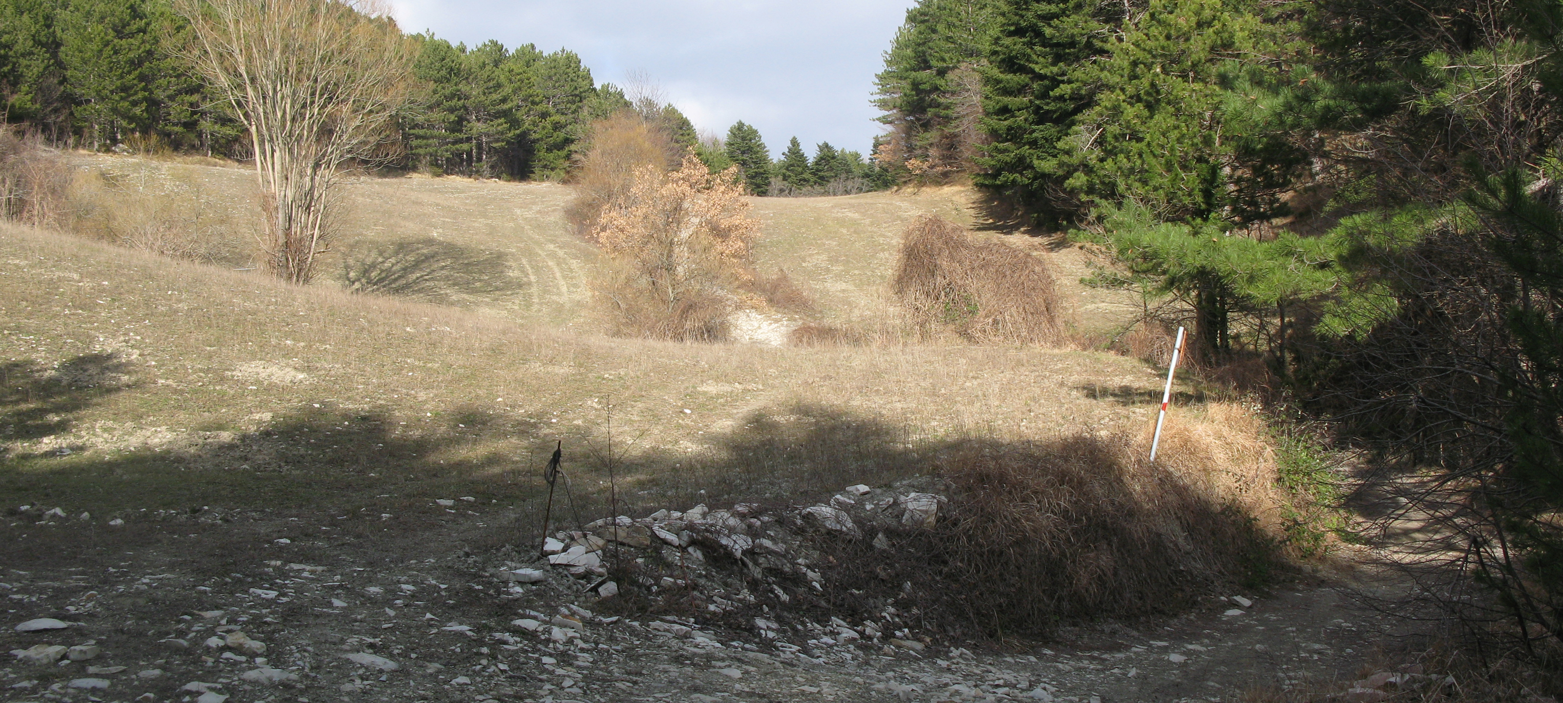 Monte Carpegna Sentiero 106 - immagine 4