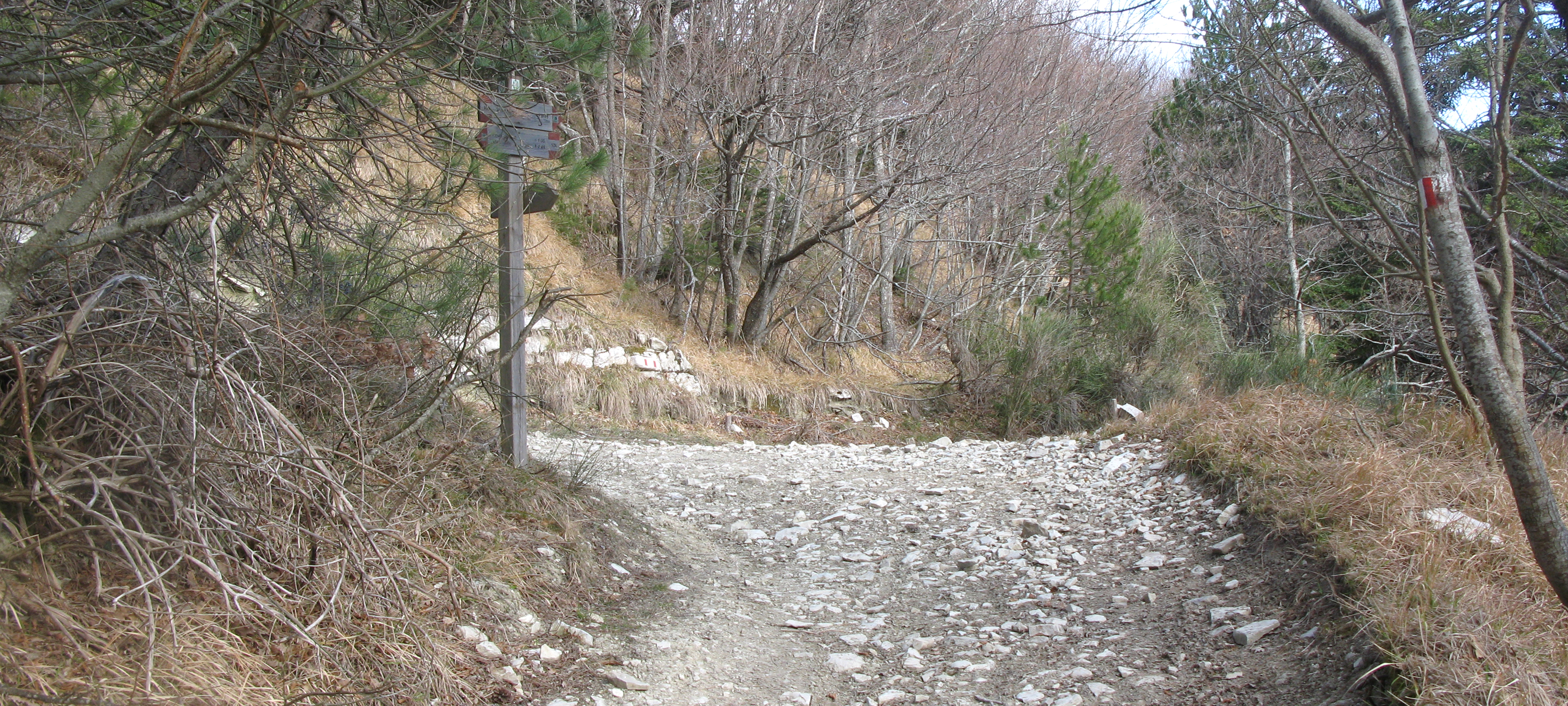 Monte Carpegna Sentiero 106 - immagine 5