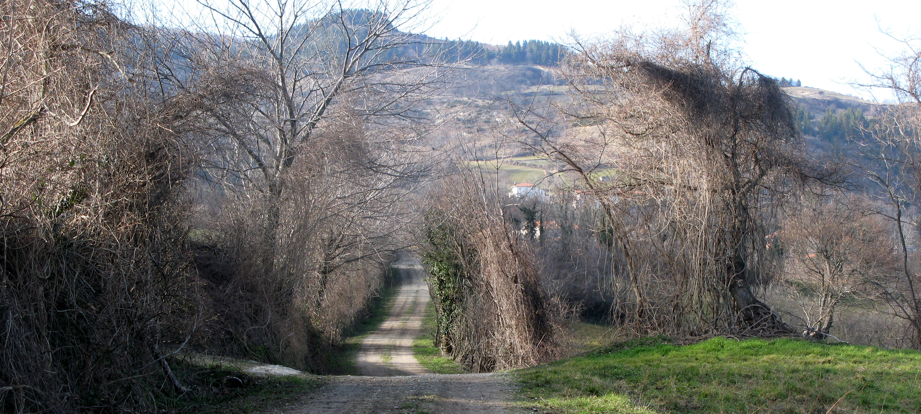 Monte Carpegna Sentiero 106 - immagine 7