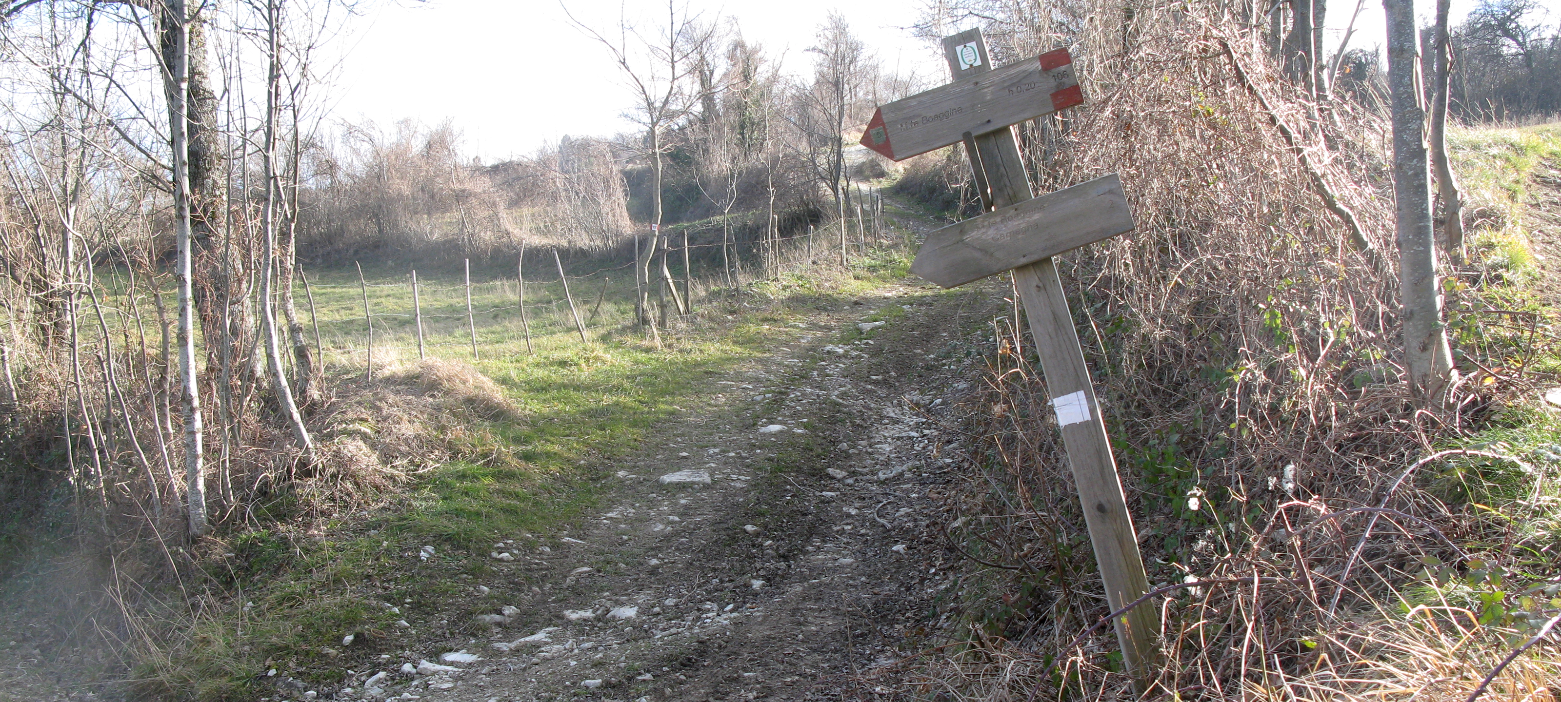 Monte Carpegna Sentiero 106 - immagine 8