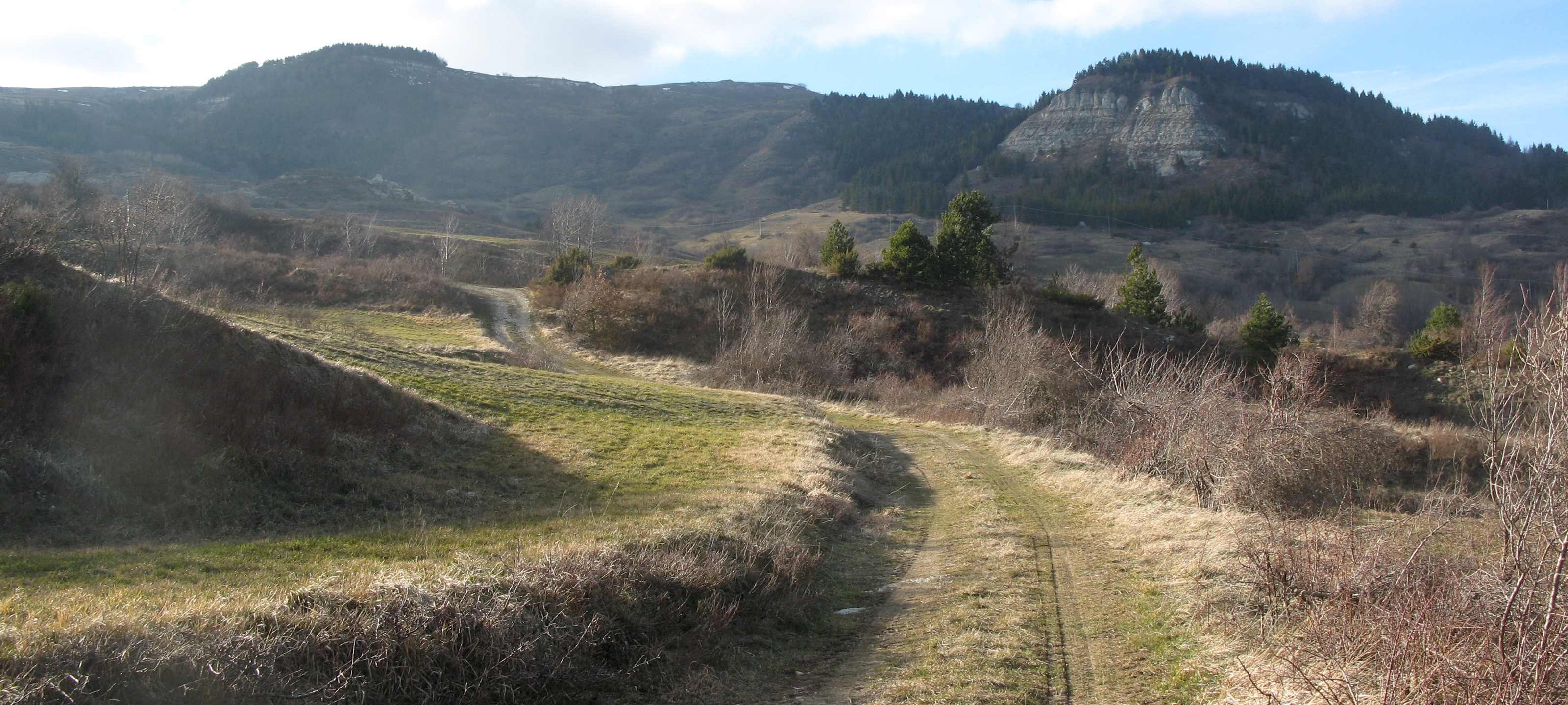 Monte Carpegna Sentiero 106 - immagine 9