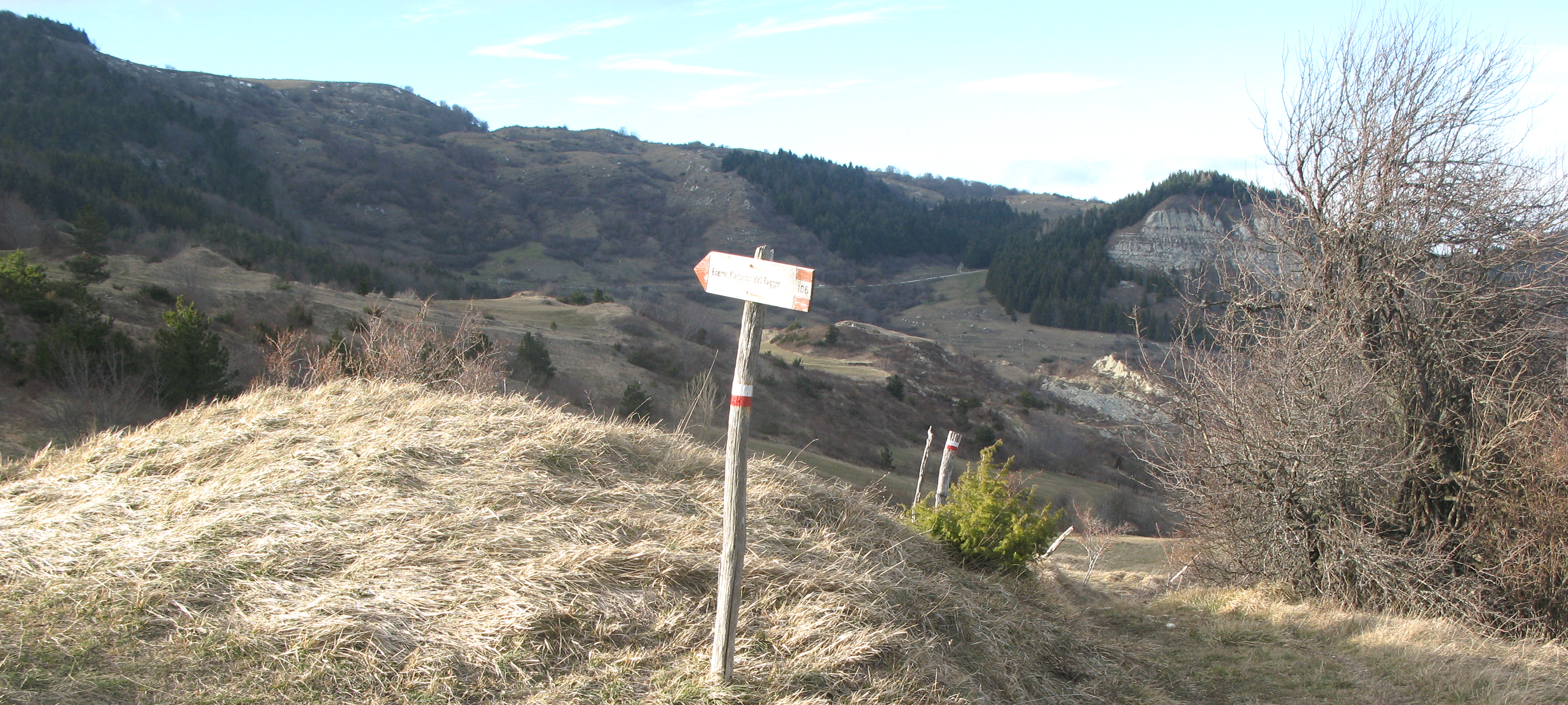 Monte Carpegna Sentiero 106 - immagine 11