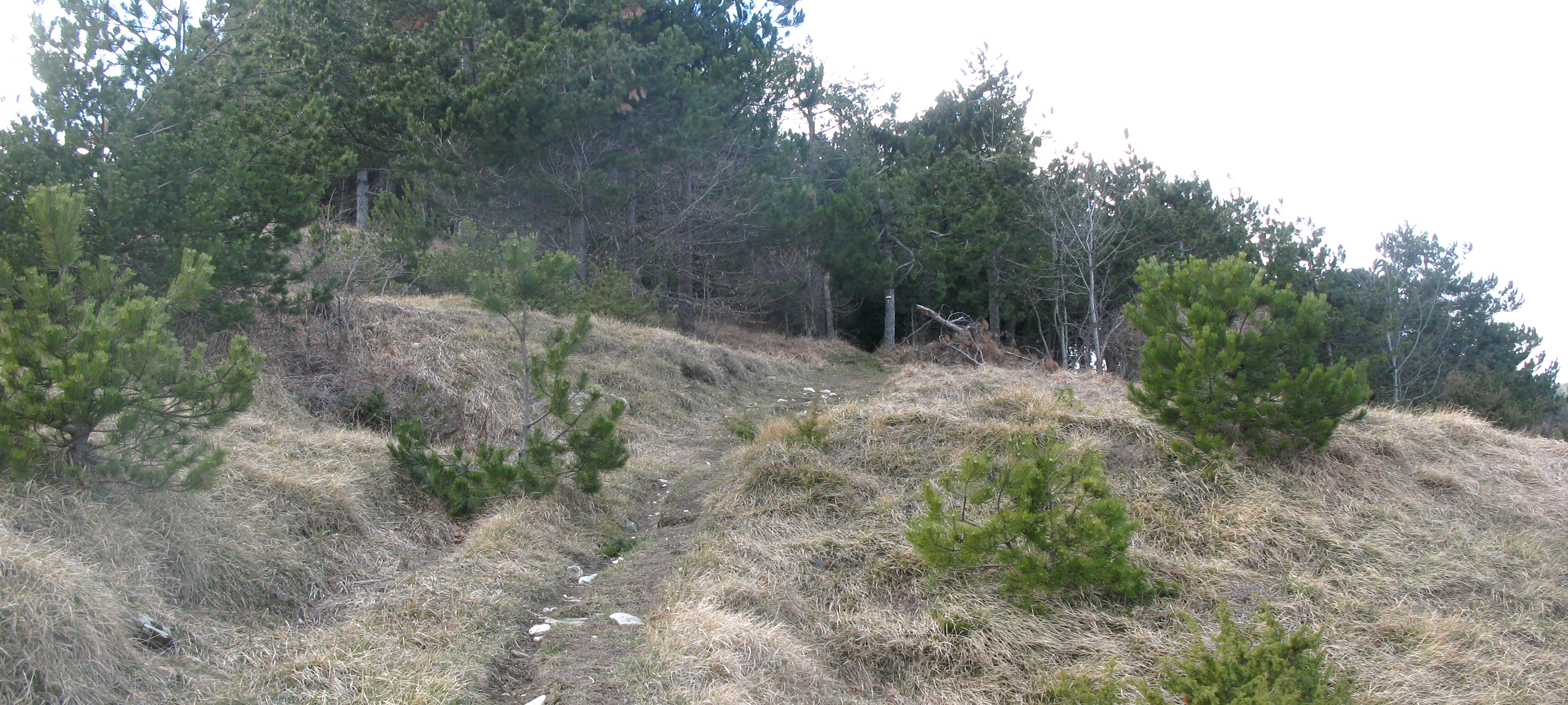 Monte Carpegna Sentiero 106 - immagine 12