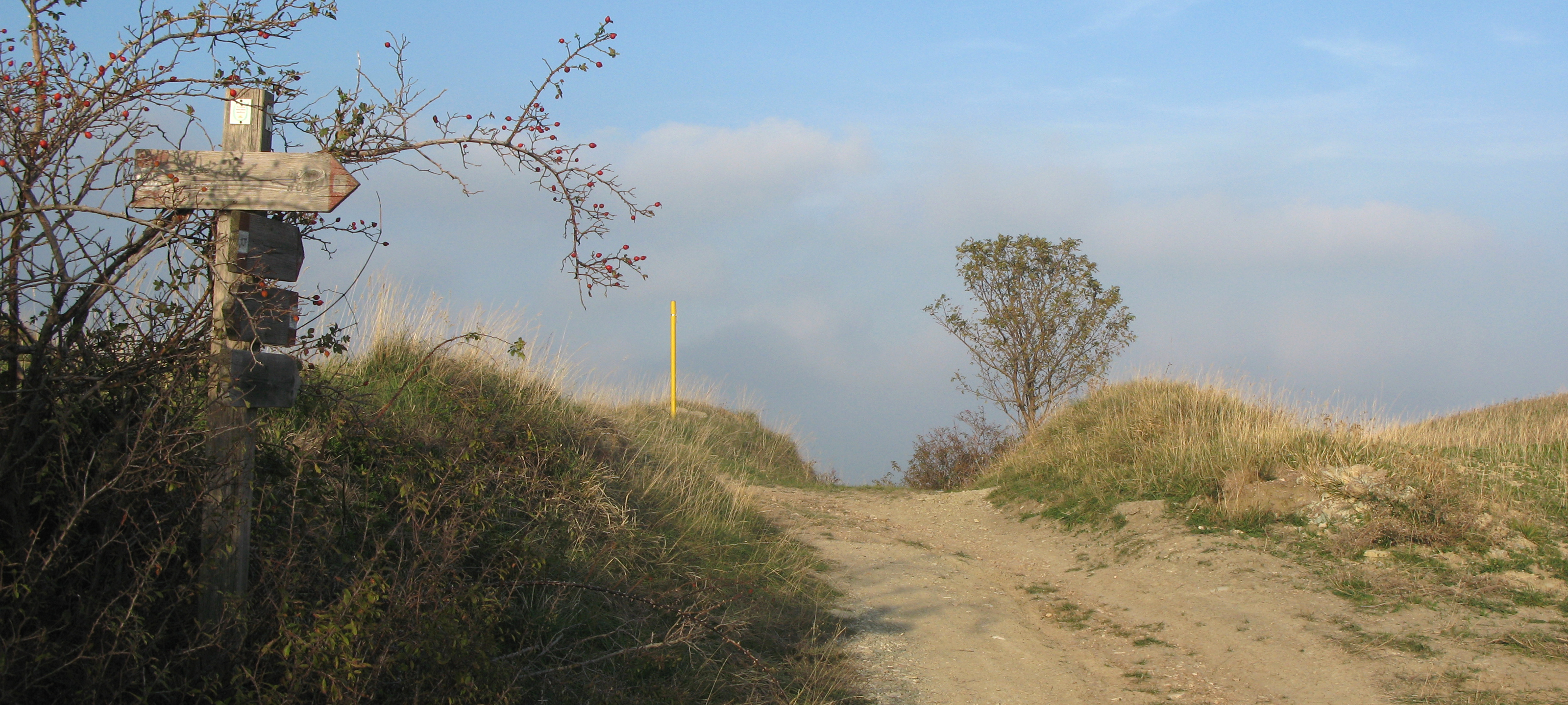 Monte Carpegna Sentiero 107 - immagine 1